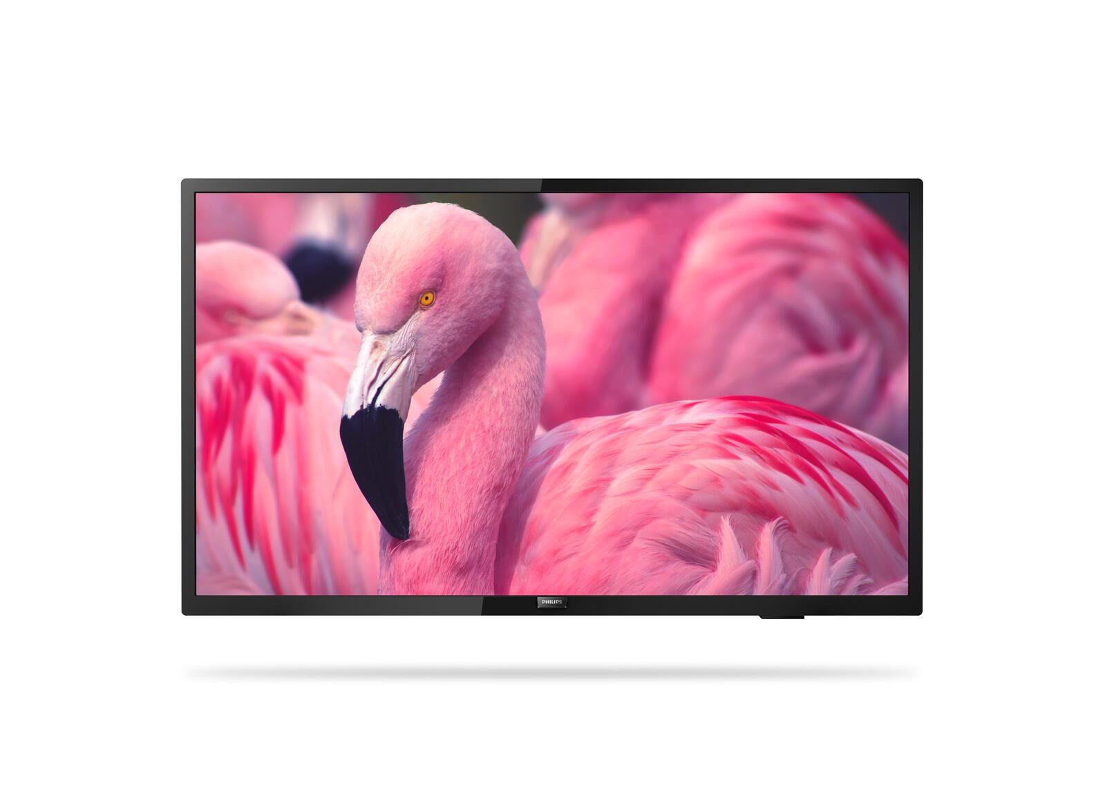 Philips PHILIPS 43HFL4014/12 LED-Fernseher