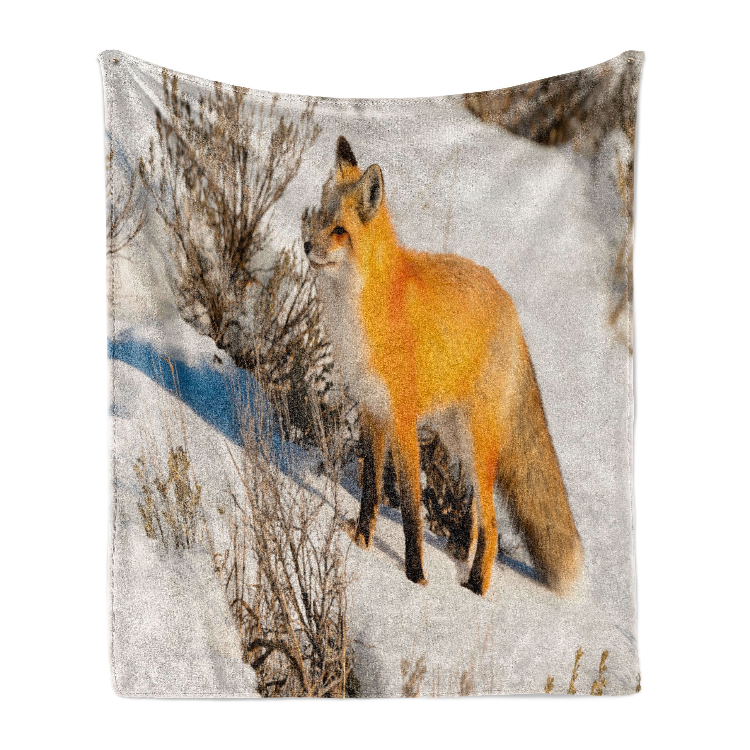 Wohndecke Gemütlicher Plüsch für den Innen- und Außenbereich, Abakuhaus, Fuchs Red Fox in Snowy Natur