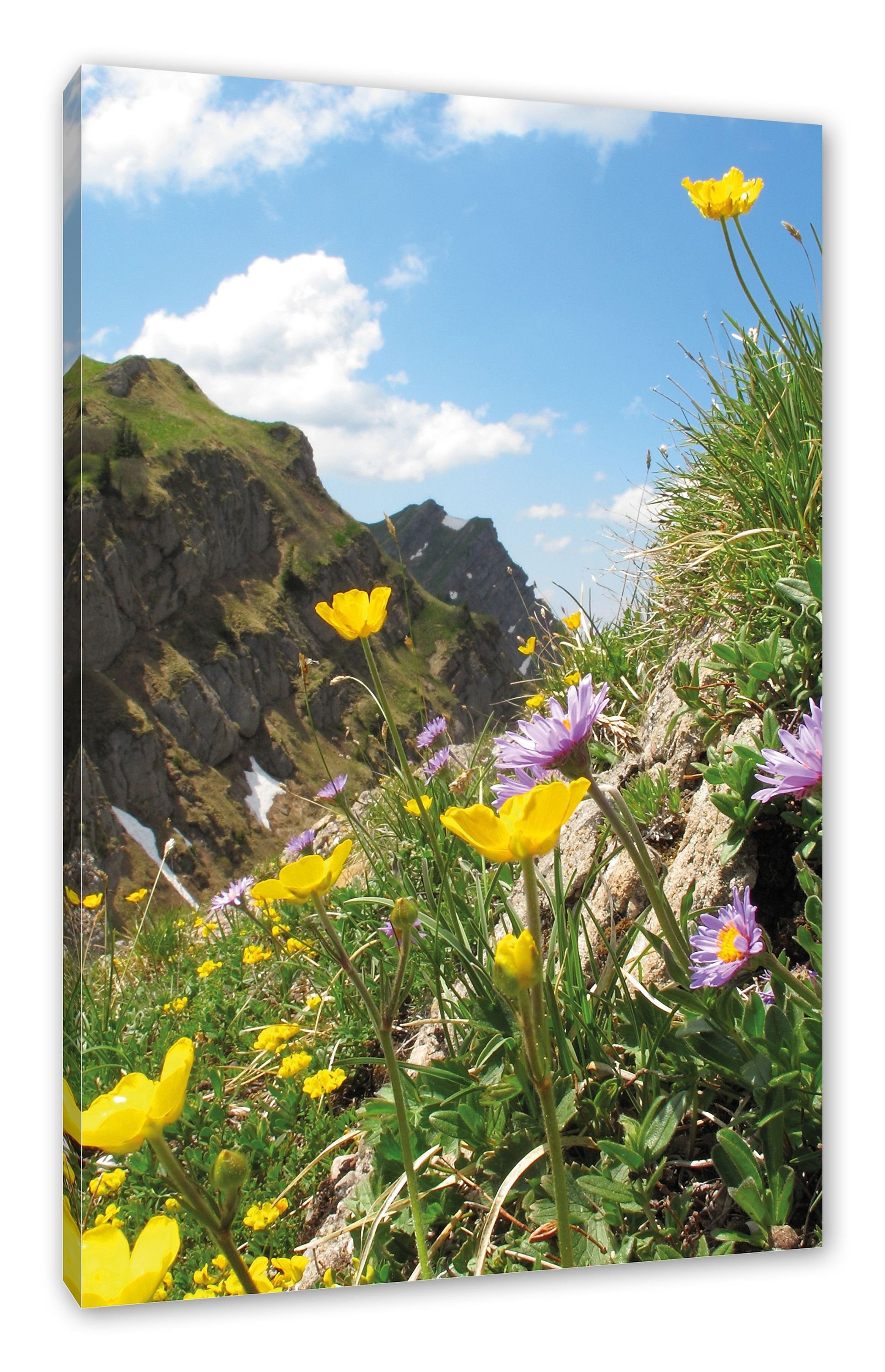 Leinwandbild bespannt, (1 Blumenwiese Pixxprint Zackenaufhänger Leinwandbild Frühling, fertig inkl. Frühling St), im Blumenwiese im