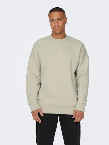 ONLY & SONS Sweatshirt ONSDAN LIFE RLX HEAVY SWEAT CREW NOOS Silver Lining