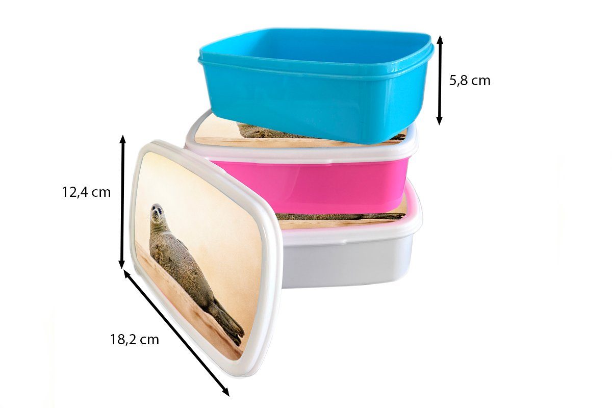 Mädchen Brotbox für Erwachsene, und und MuchoWow - Kunststoff, Island, Strand Jungs weiß Kinder - Lunchbox Long (2-tlg), für Brotdose, Seal
