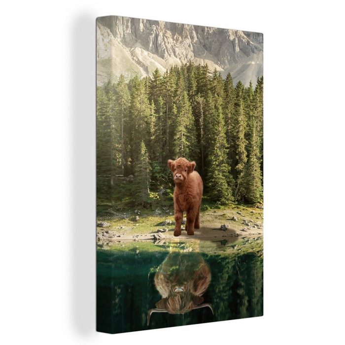 OneMillionCanvasses® Leinwandbild Schottischer Highlander - Kalb - Bäume (1 St) Leinwandbild fertig bespannt inkl. Zackenaufhänger Gemälde