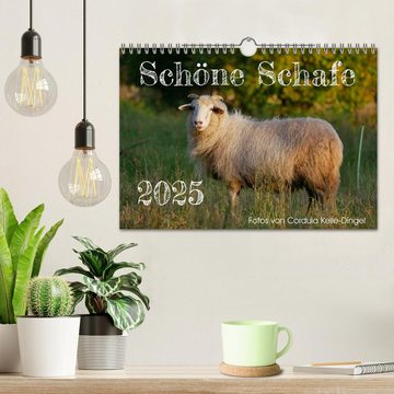 CALVENDO Wandkalender Schöne Schafe (Wandkalender 2025 DIN A4 quer), CALVENDO Monatskalender