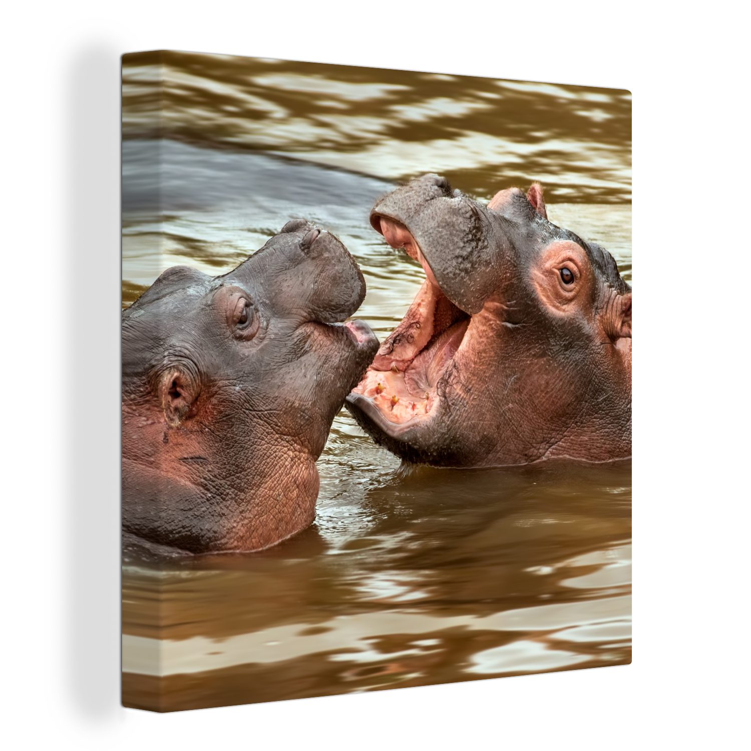 OneMillionCanvasses® Leinwandbild Nilpferd (1 St), Bilder - für Tiere Schlafzimmer - Leinwand Wohnzimmer Wasser