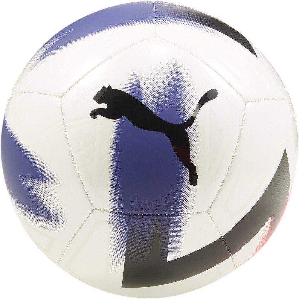 PUMA Fußball CAGE Ball