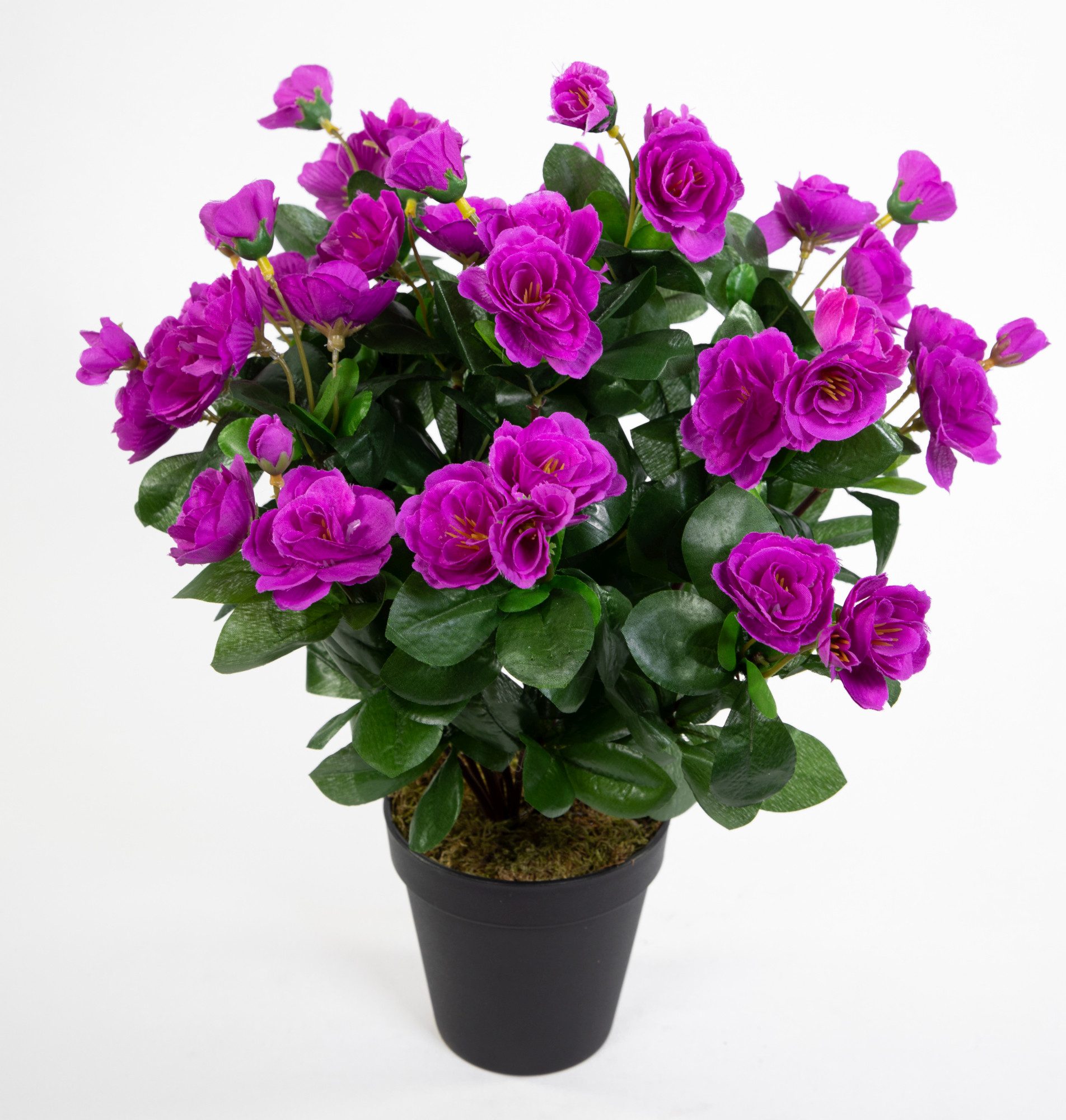 Kunstblume Azalee 40cm im Topf ZF Kunstpflanzen Kunstblumen künstliche Pfla günstig online kaufen