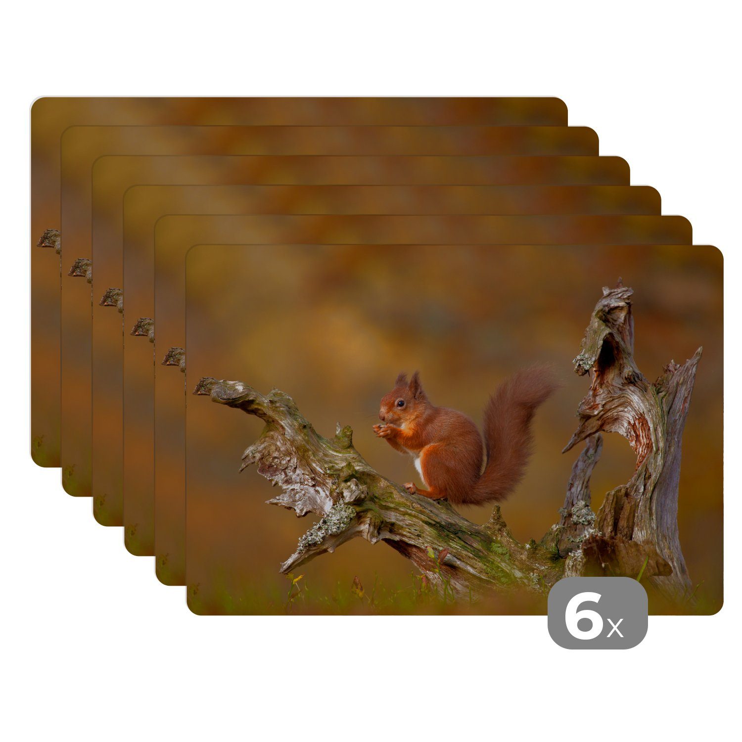Platzset, Rotes Eichhörnchen im Herbst, MuchoWow, (6-St), Platzset, Platzdecken, Platzmatte, Tischmatten, Schmutzabweisend