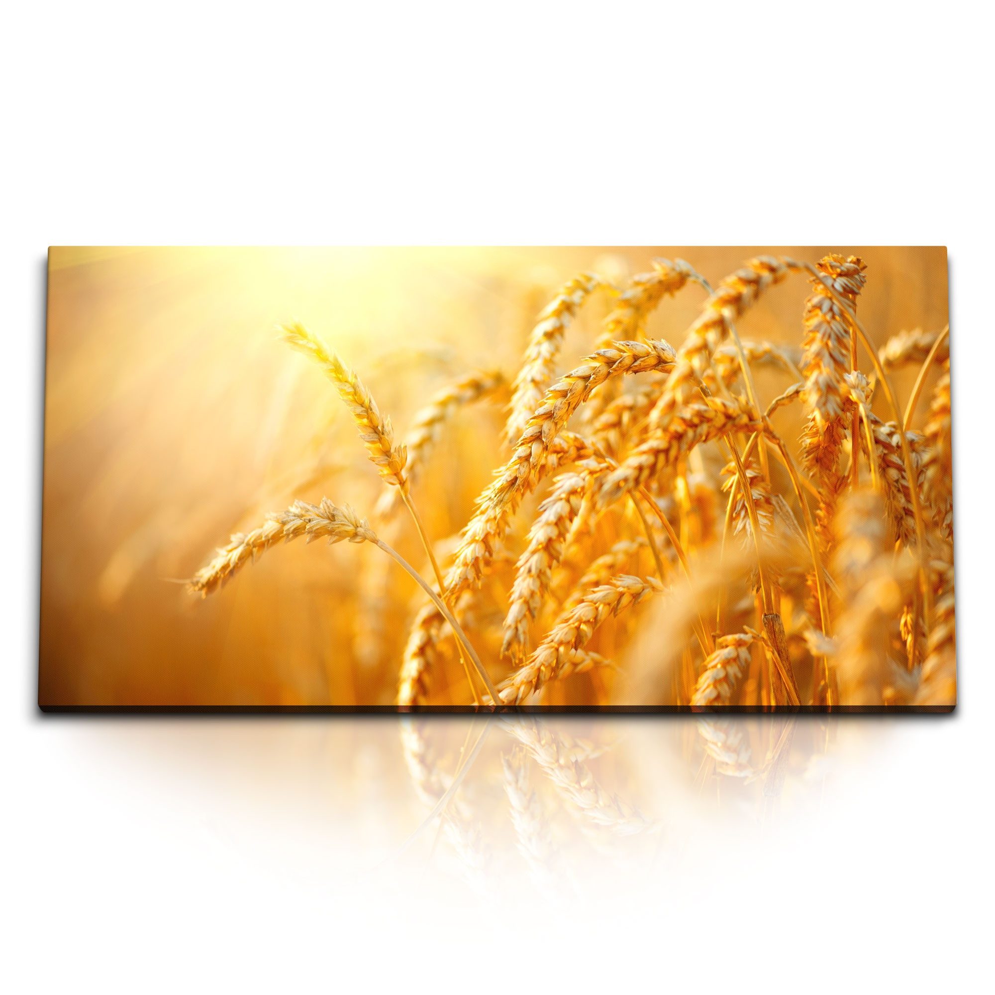 Leinwandbild Kunstdruck Bilder 120x60cm Sonnenschein Weizen Natur Sommer Weizenhalm
