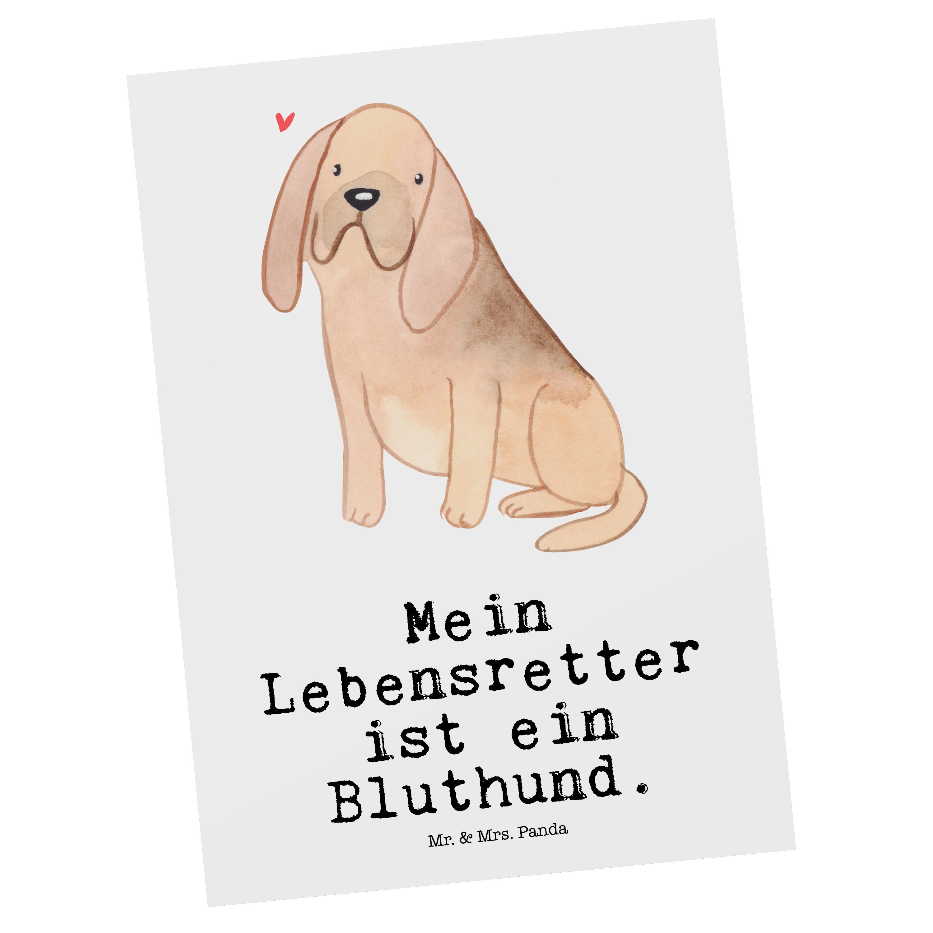 Mr. & Mrs. Panda Postkarte Bloodhound Lebensretter - Weiß - Geschenk, Chien de Saint Hubert, Dan