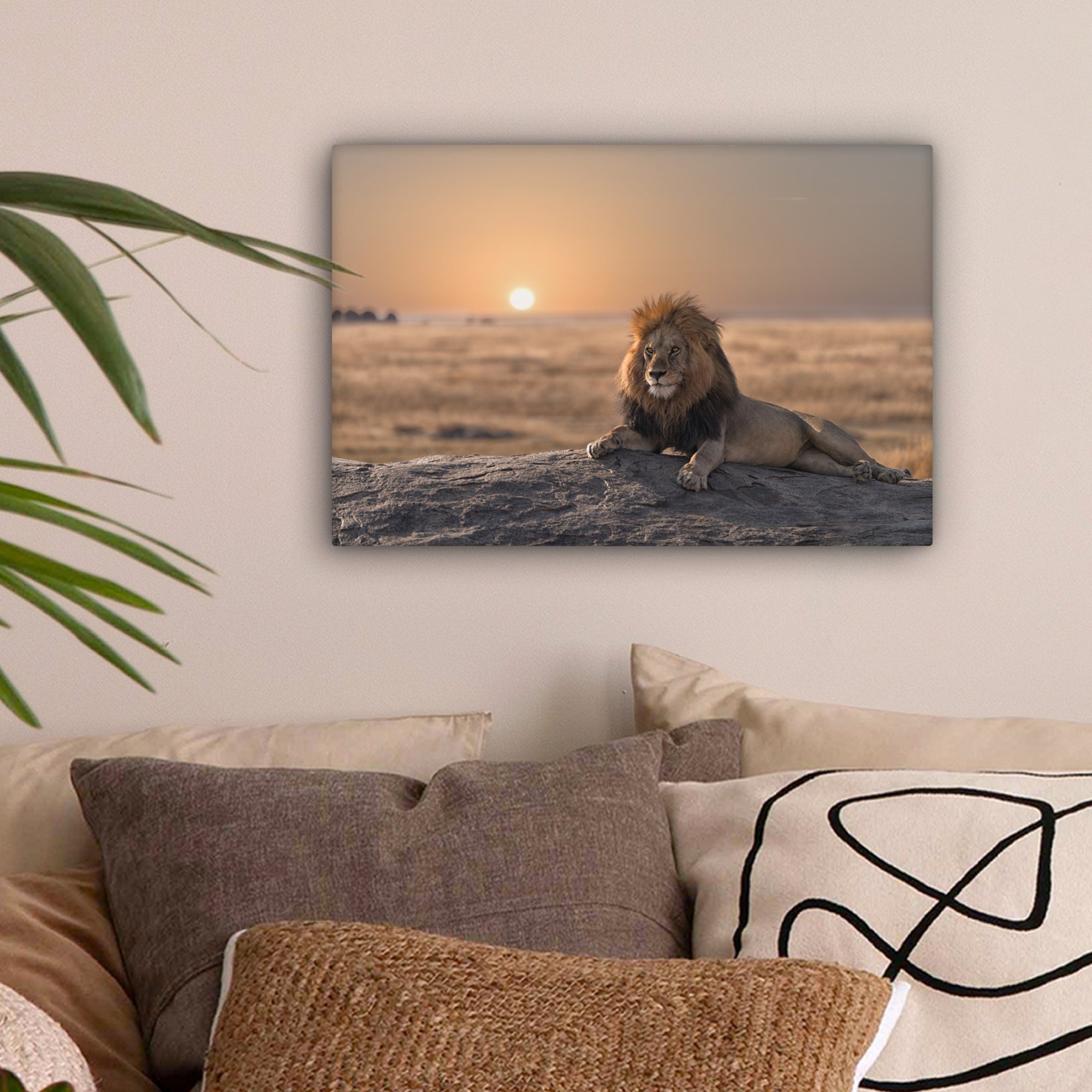 OneMillionCanvasses® Leinwandbild Löwe - Sonne - günstig online kaufen