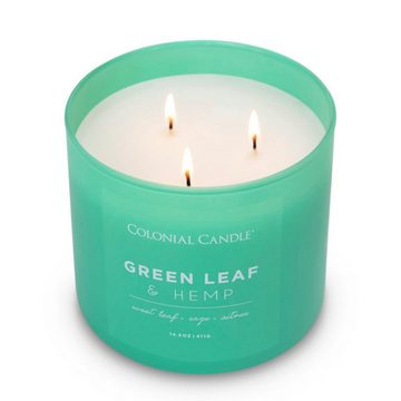 COLONIAL CANDLE Duftkerze Duftkerze Green Leaf Hemp - 411g (1.tlg)