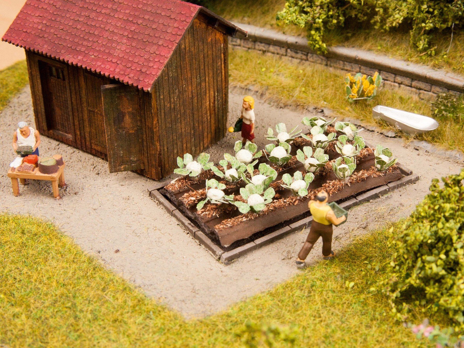 Modelleisenbahn-Gebäude Blumenkohl, mit Miniatur Pflanzen, 16 Pflanzen à 3