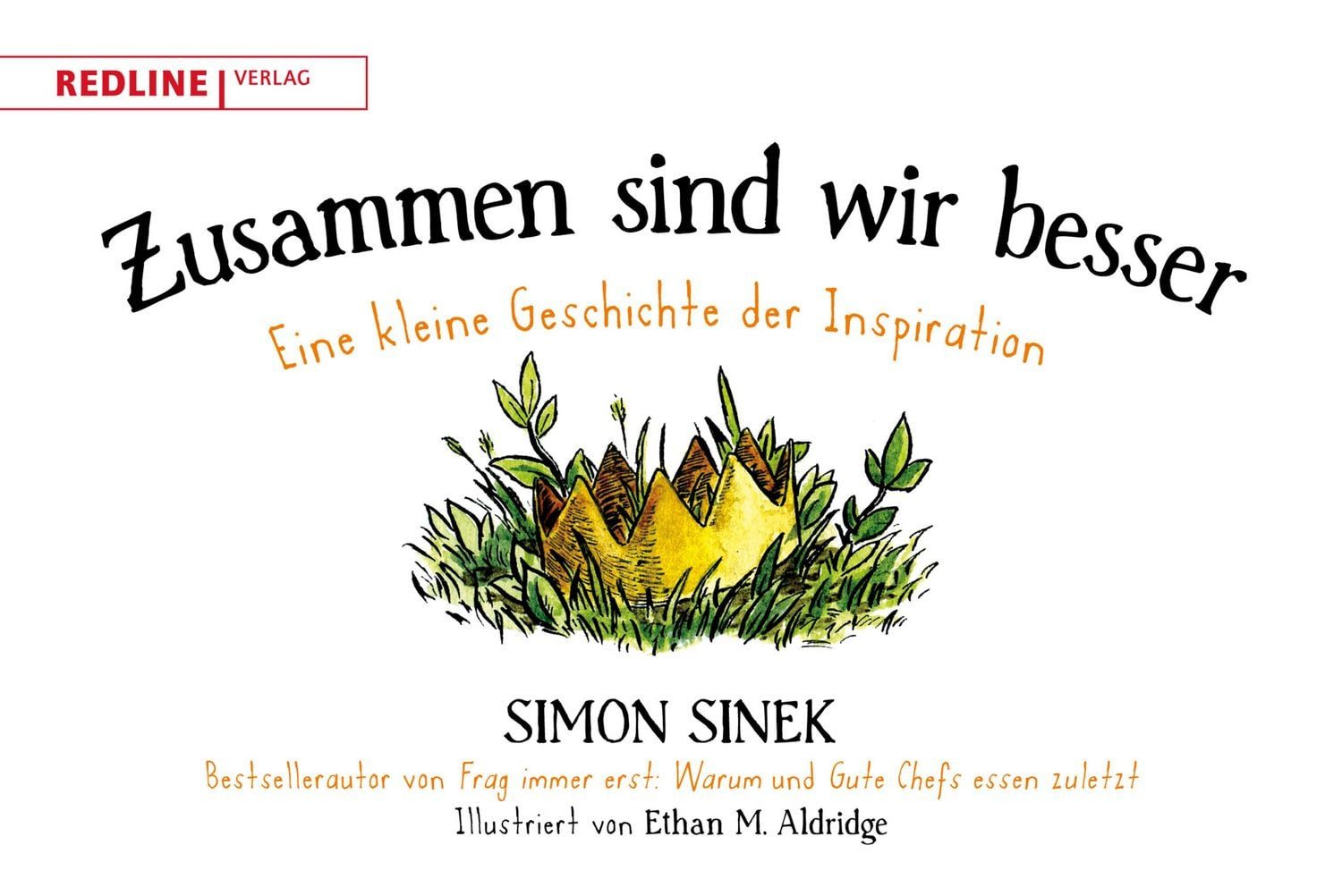 Ratgeber Zusammen sind wir besser Eine kleine Geschichte der Inspiration Simon Sinek