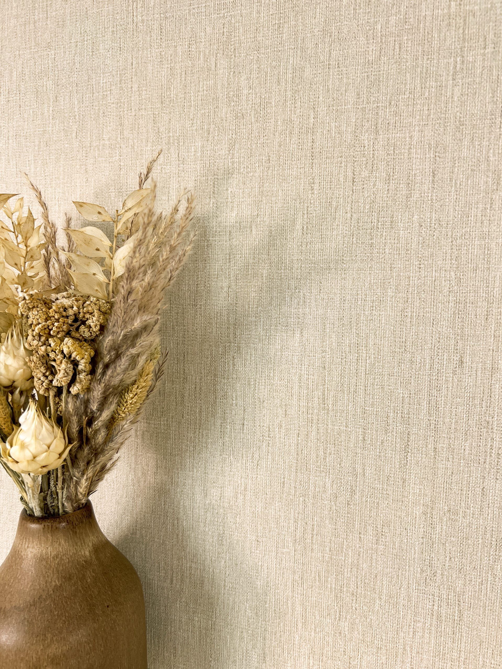 Newroom Vliestapete, Beige Tapete Modern Unifarbe - Universal Einfarbig Uni günstig online kaufen