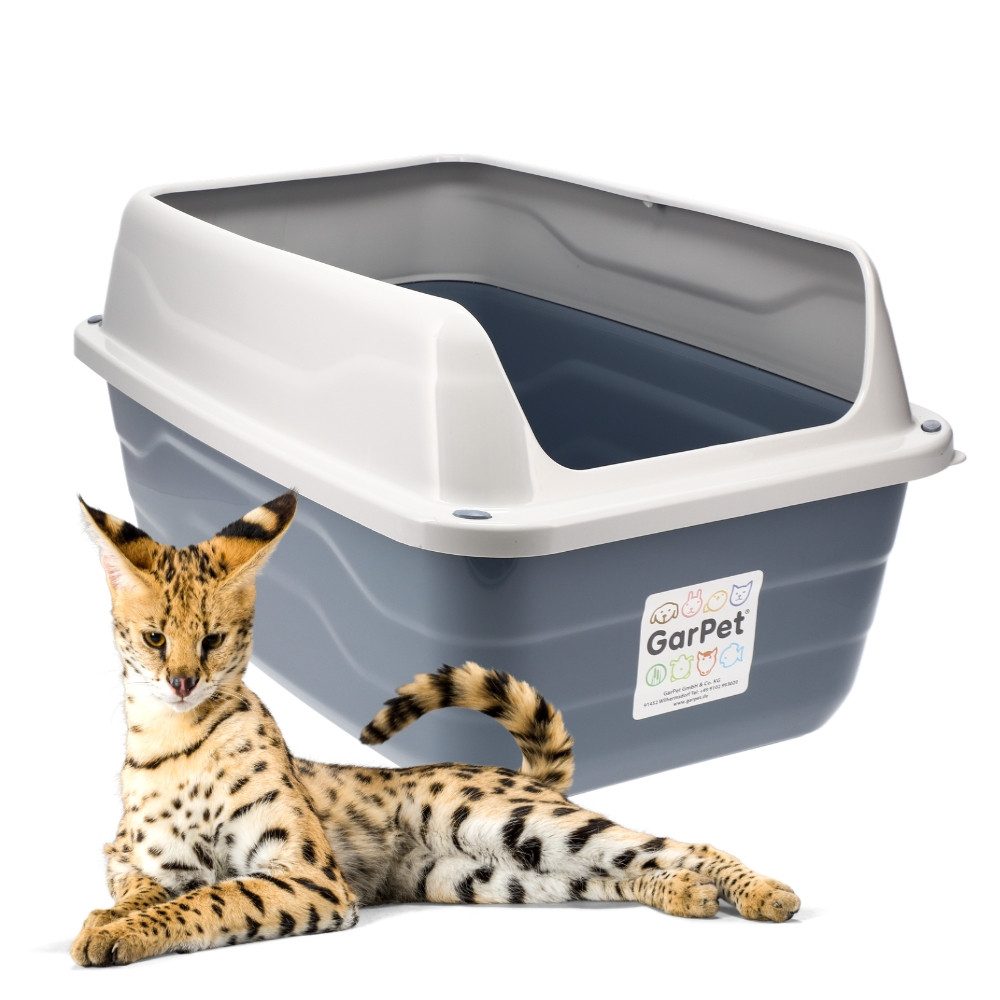 GarPet Katzentoilette Katzenklo XXL mit hohem Rand Katzenklo für große Katzen Klo offen