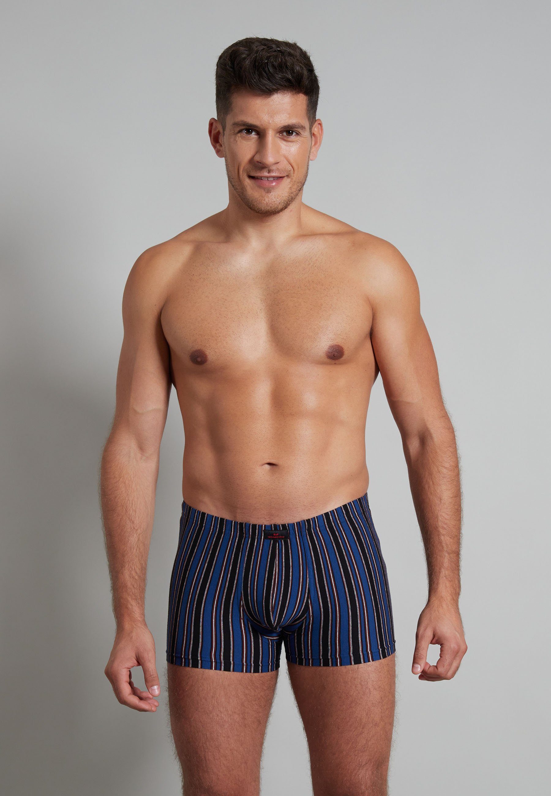 GÖTZBURG Boxershorts GÖTZBURG Herren Pants blau längsgestreift 2er Pack (2-St)