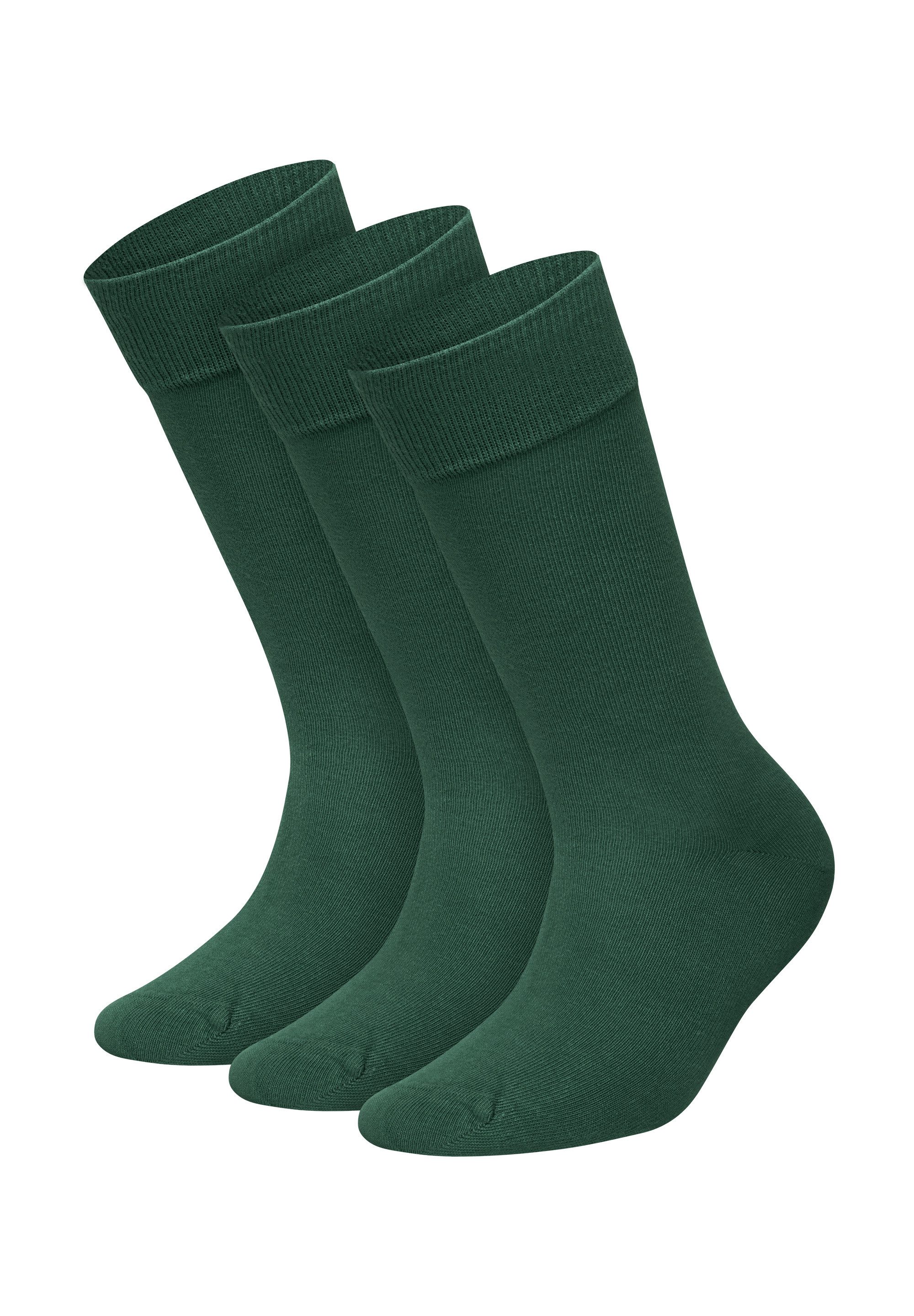Smooth Forest Green