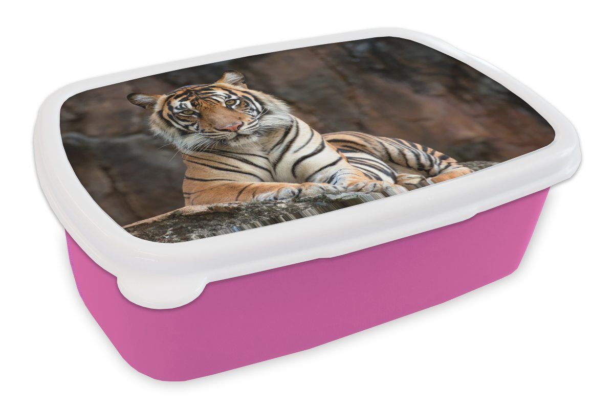 MuchoWow Lunchbox Tiger - Felsen - Berge, Kunststoff, (2-tlg), Brotbox für Erwachsene, Brotdose Kinder, Snackbox, Mädchen, Kunststoff rosa