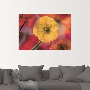Artland Wandbild Fotokollage Mohnblumen, Blumenbilder (1 St), als Leinwandbild, Wandaufkleber in verschied. Größen