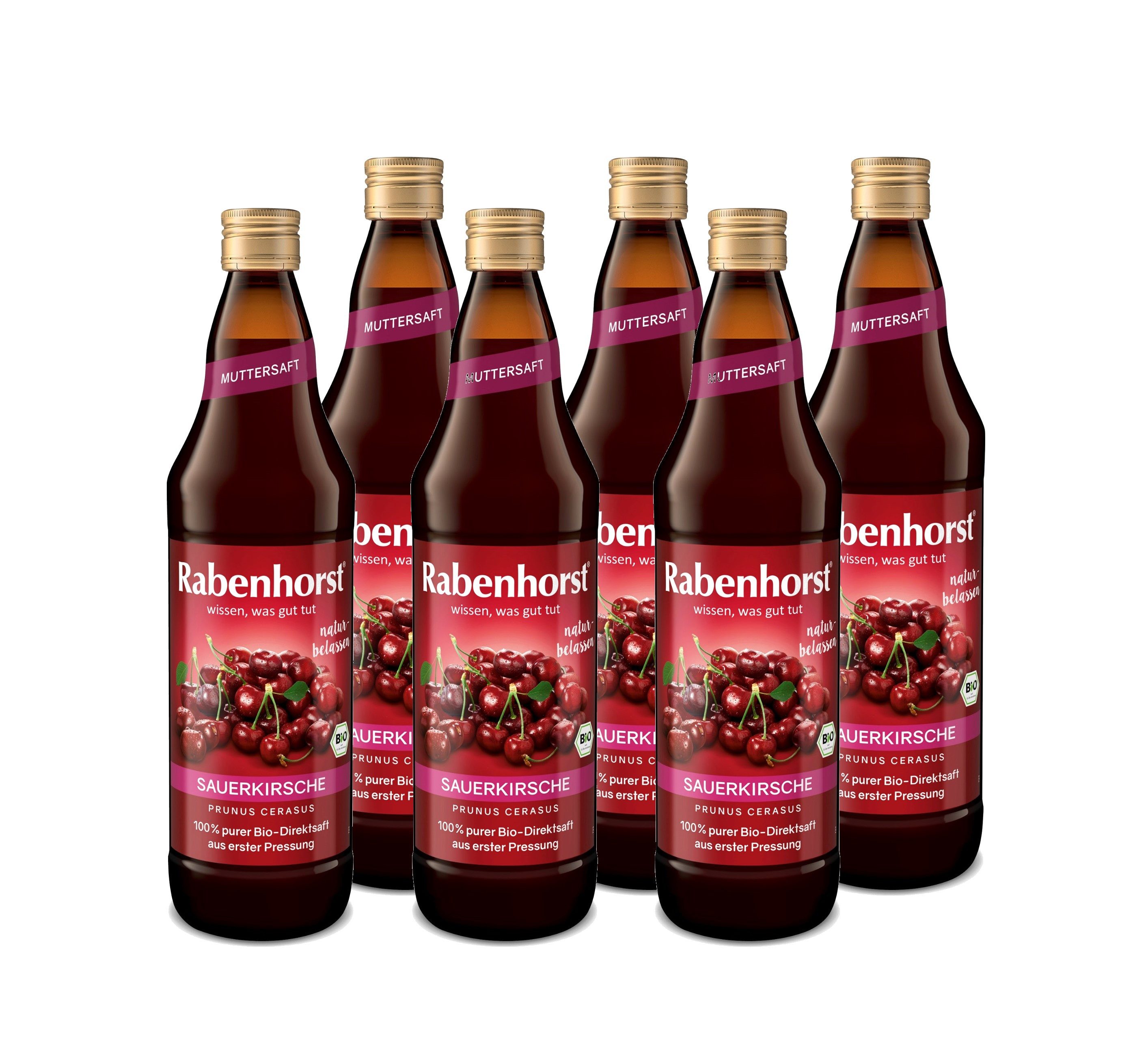 Haus Rabenhorst Saft RABENHORST Sauerkirsche MUTTERSAFT BIO 6er Pack (6 x 700 ml), 0,7 l, 700 ml, 6 St. – Bild 4 von 4
