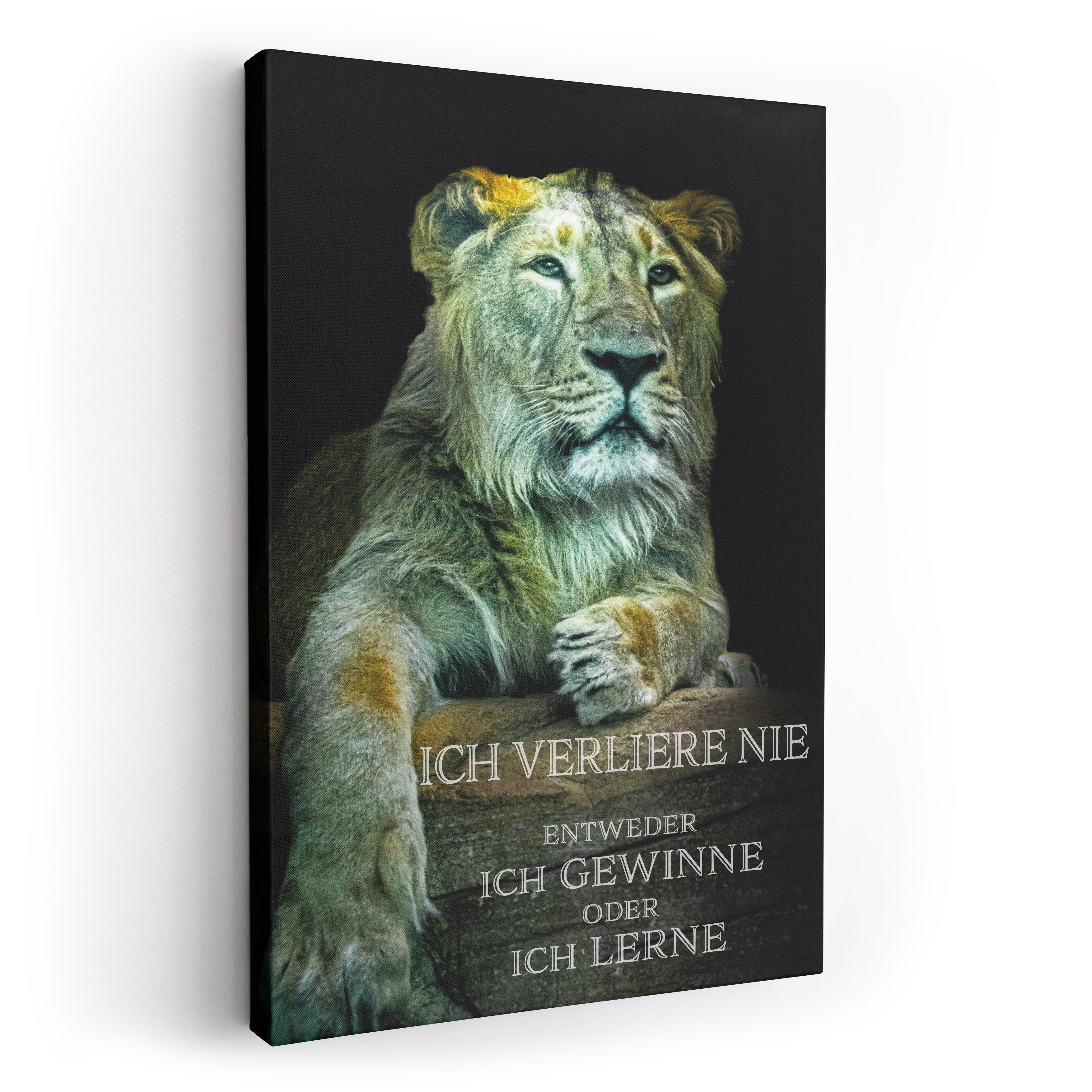 ArtMind XXL-Wandbild Ich Gewinne oder Lerne, Premium Wandbilder als Poster