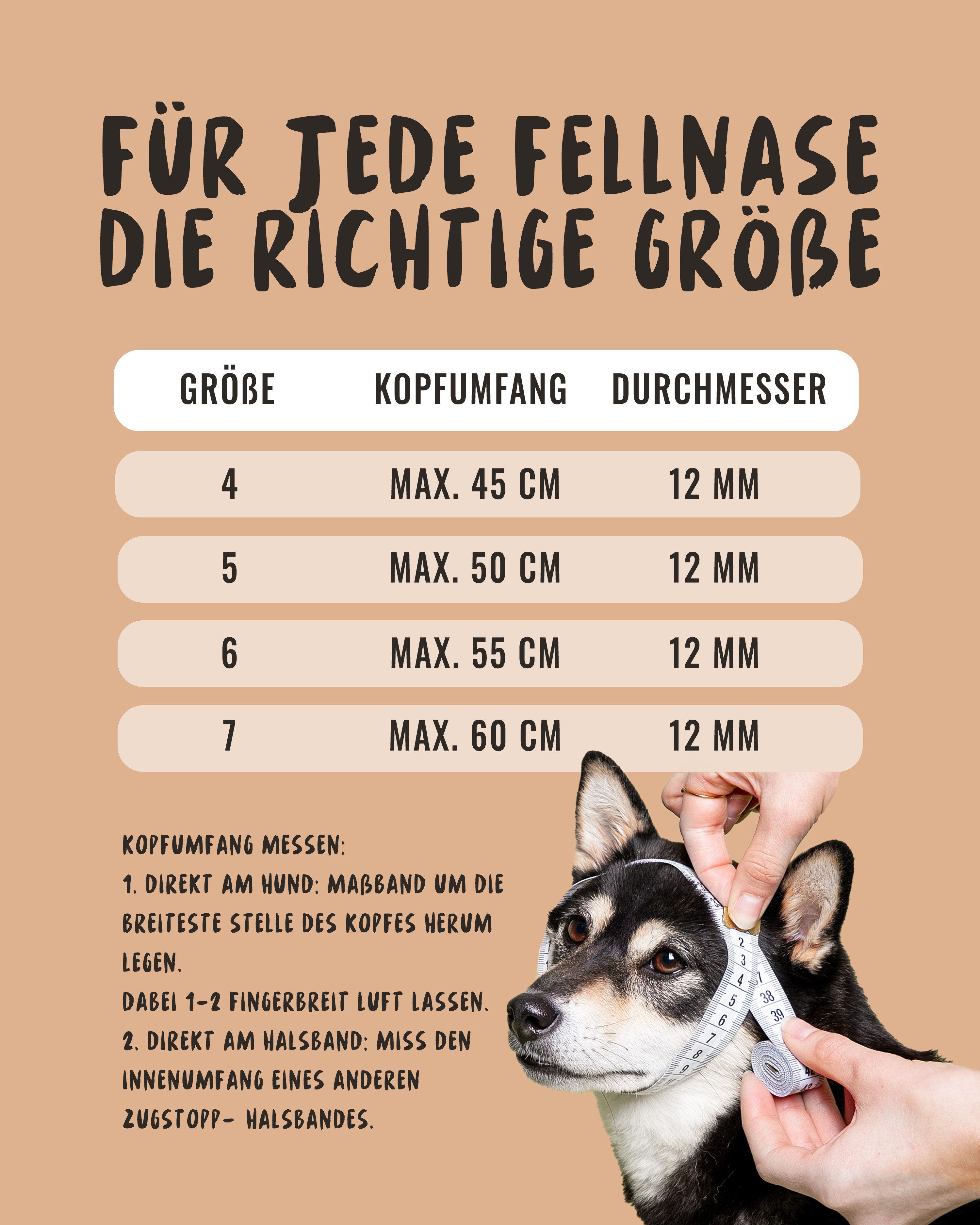 Rudelkönig Hunde-Halsband Zugstopp Halsband Hund Emma, Robustes Hundehalsband, Echtleder, Nylon, Elegantes Tau Halsband