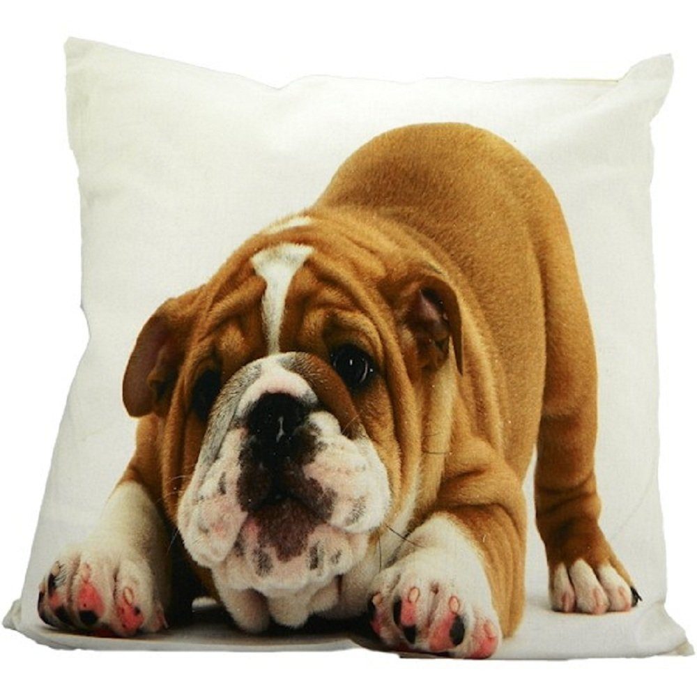 Mars & More Sofakissen Englische Bulldogge, GKKSBP, (1 St)