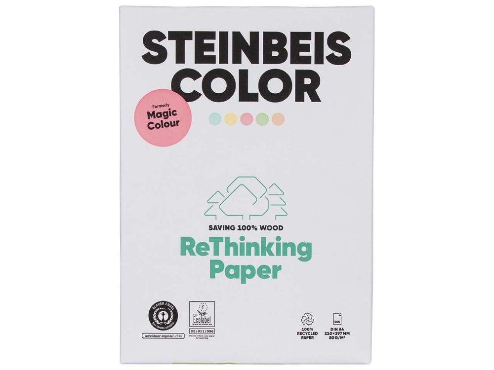 Kopierpapier STEINBEIS DIN Steinbeis pastellgrün Kopierpapier 'MagicColour' Farbiges