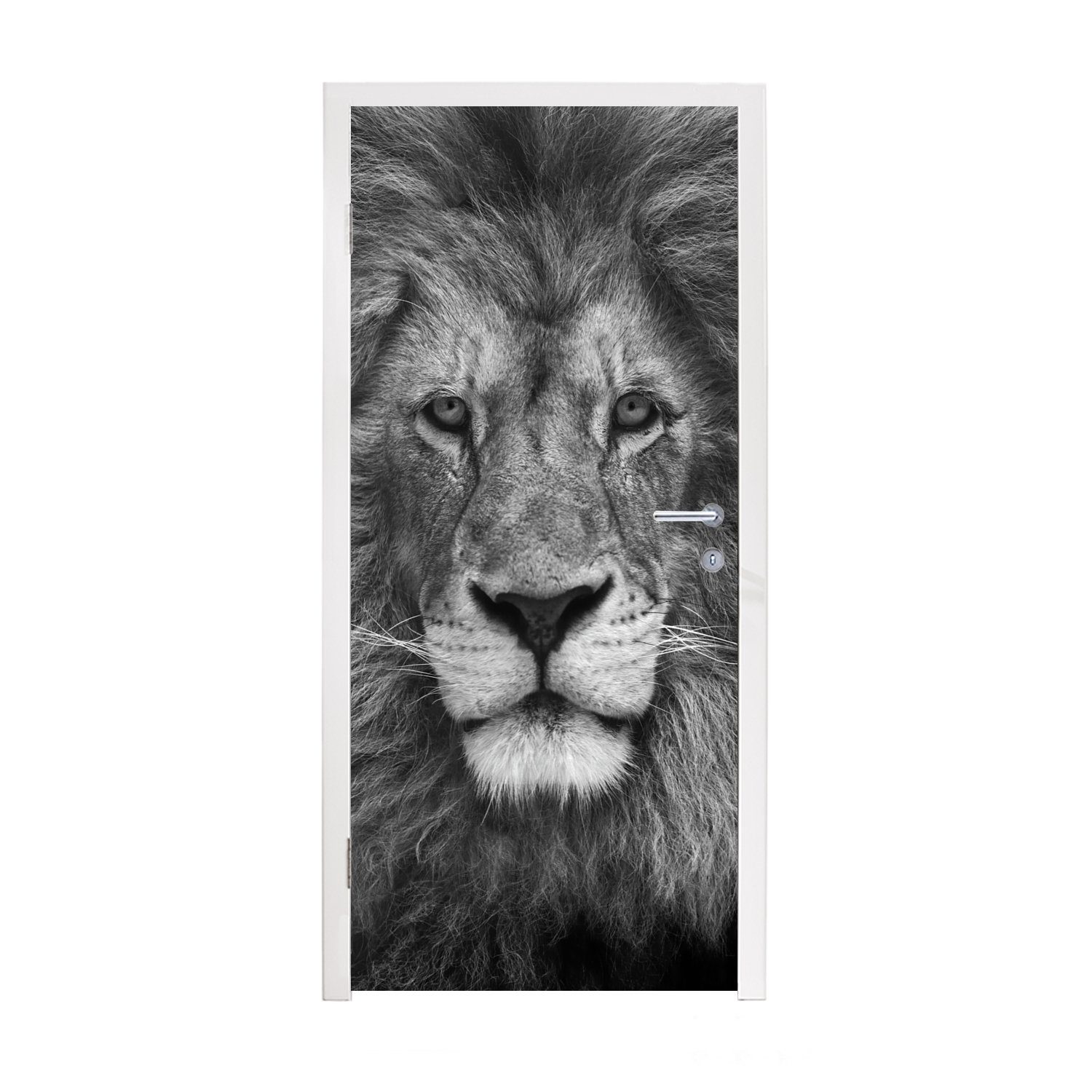 MuchoWow Türtapete Persischer Löwe auf schwarzem Hintergrund, Matt, bedruckt, (1 St), Fototapete für Tür, Türaufkleber, 75x205 cm