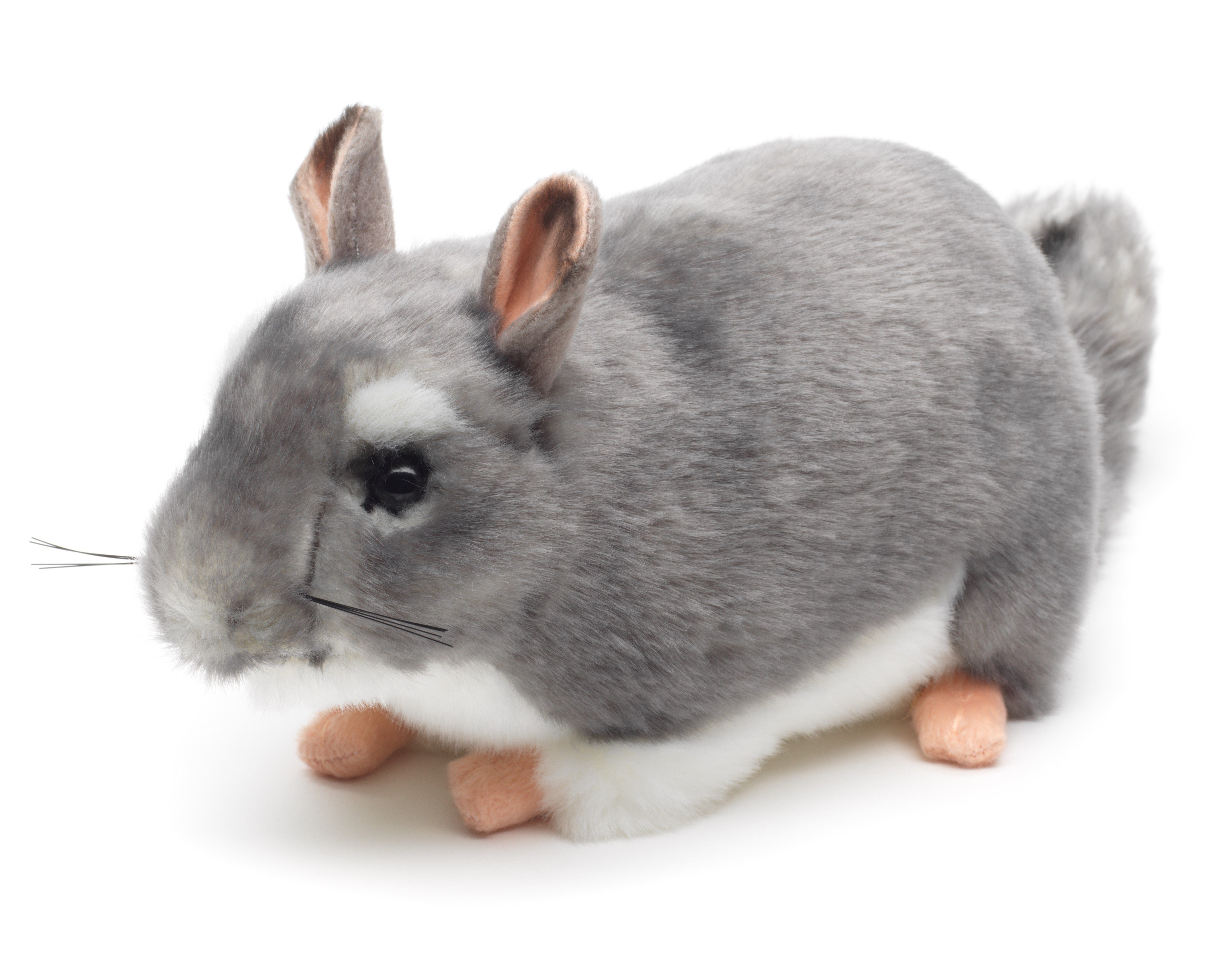 Uni-Toys Kuscheltier Chinchilla grau - 22 cm (Länge) - Plüsch-Nagetier - Plüschtier, zu 100 % recyceltes Füllmaterial