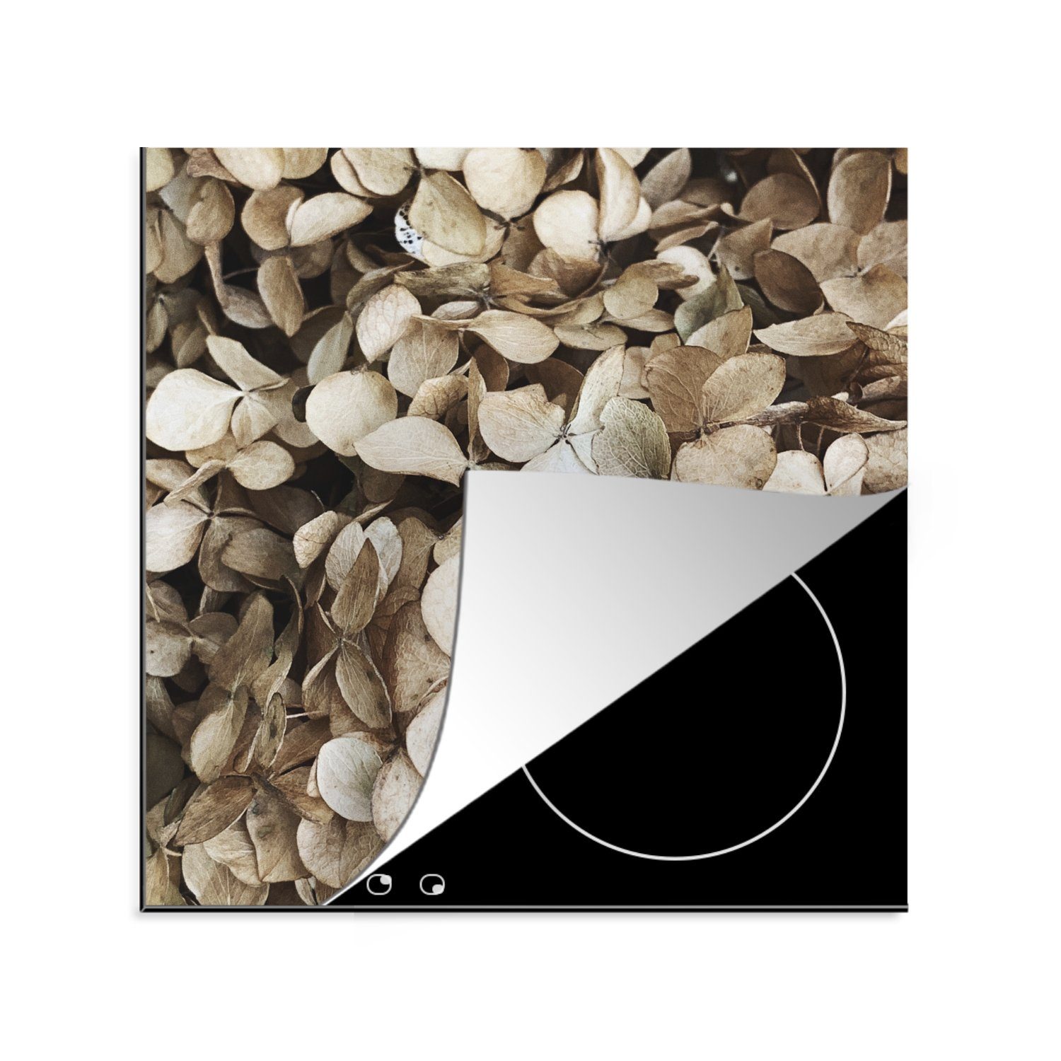 MuchoWow Herdblende-/Abdeckplatte Blumen - Hortensie - Braun, Vinyl, (1 tlg), 78x78 cm, Ceranfeldabdeckung, Arbeitsplatte für küche | Herdabdeckplatten
