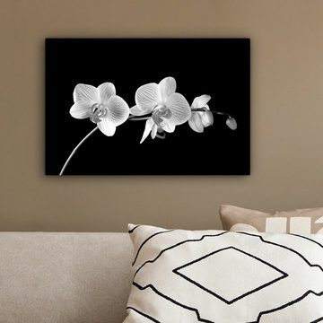 OneMillionCanvasses® Leinwandbild Orchidee - Blumen - Schwarz - Rosa - Knöpfe, (1 St), Wandbild Leinwandbilder, Aufhängefertig, Wanddeko, 30x20 cm
