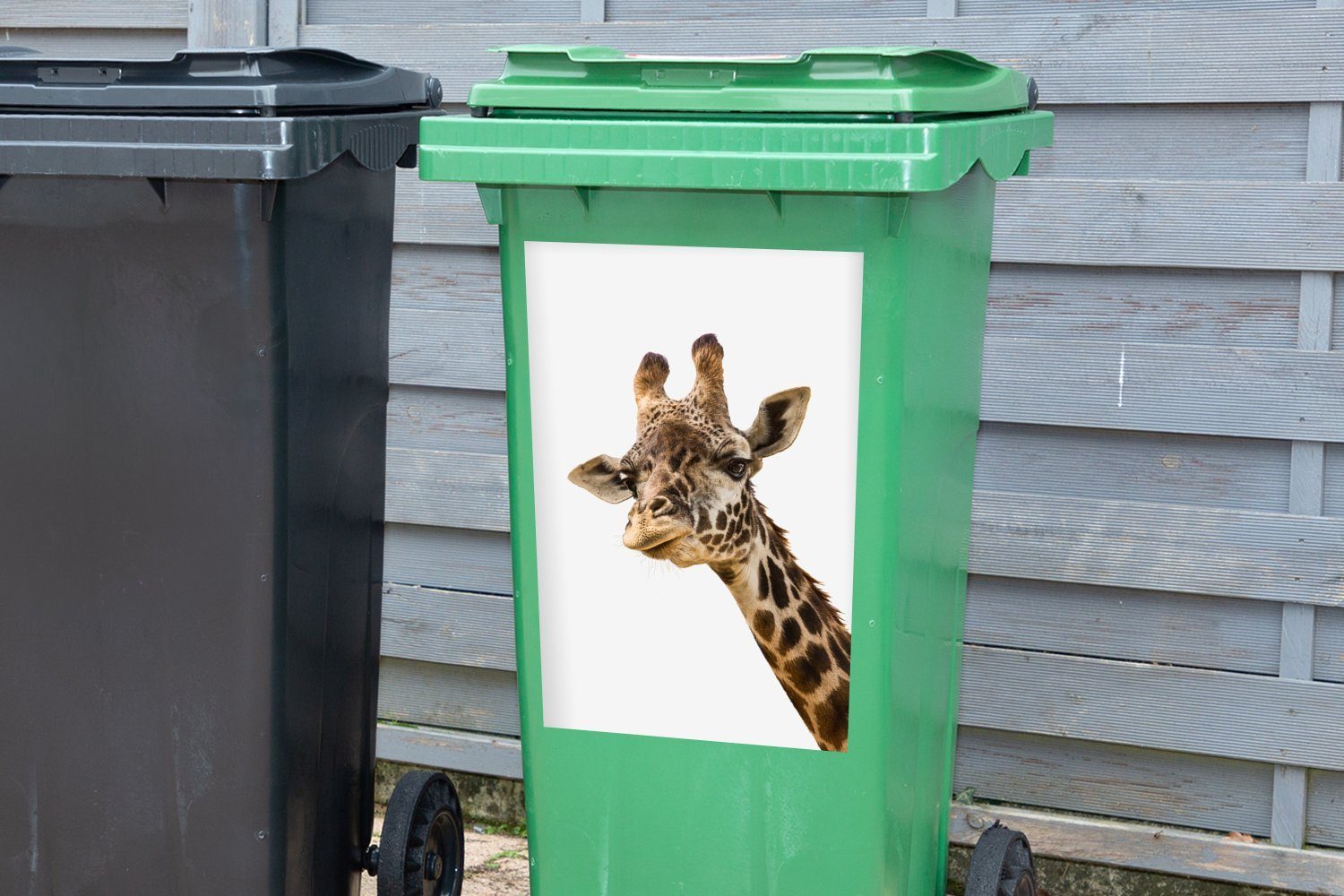Sticker, weißen Abfalbehälter Hintergrund Container, Wandsticker Neugierige einem Mülleimer-aufkleber, MuchoWow Giraffe (1 Mülltonne, vor St),