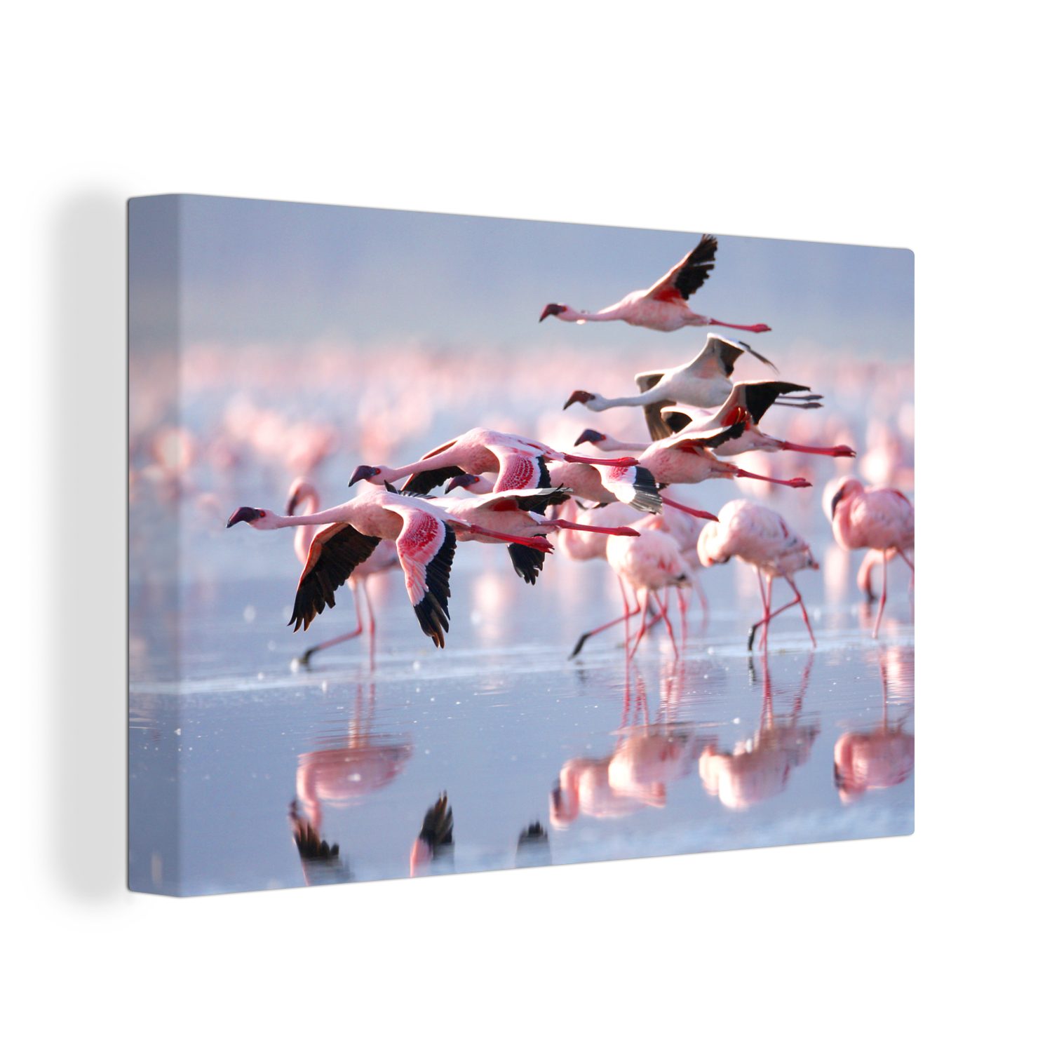 OneMillionCanvasses® Leinwandbild Rosa Flamingos auf dem Wasser, (1 St), Wandbild Leinwandbilder, Aufhängefertig, Wanddeko, 30x20 cm