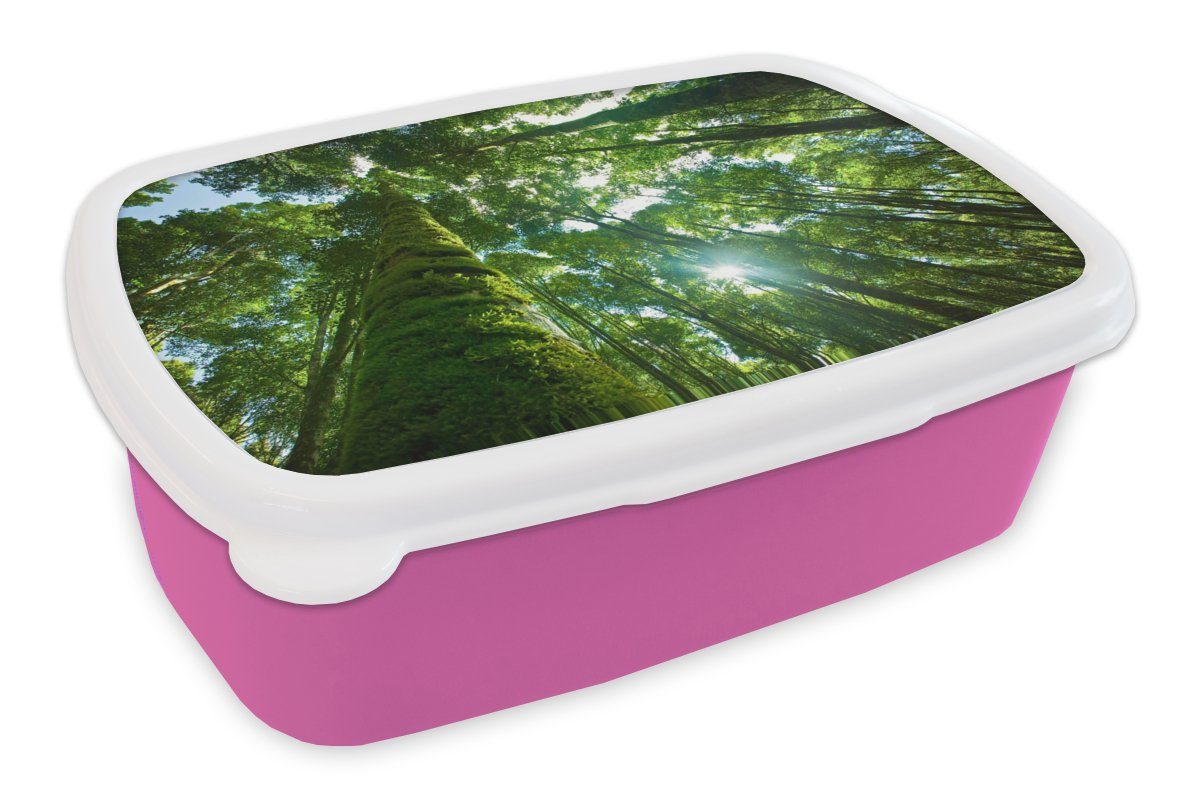 MuchoWow Lunchbox Tropischer Dschungel in Asien, Kunststoff, (2-tlg), Brotbox für Erwachsene, Brotdose Kinder, Snackbox, Mädchen, Kunststoff rosa