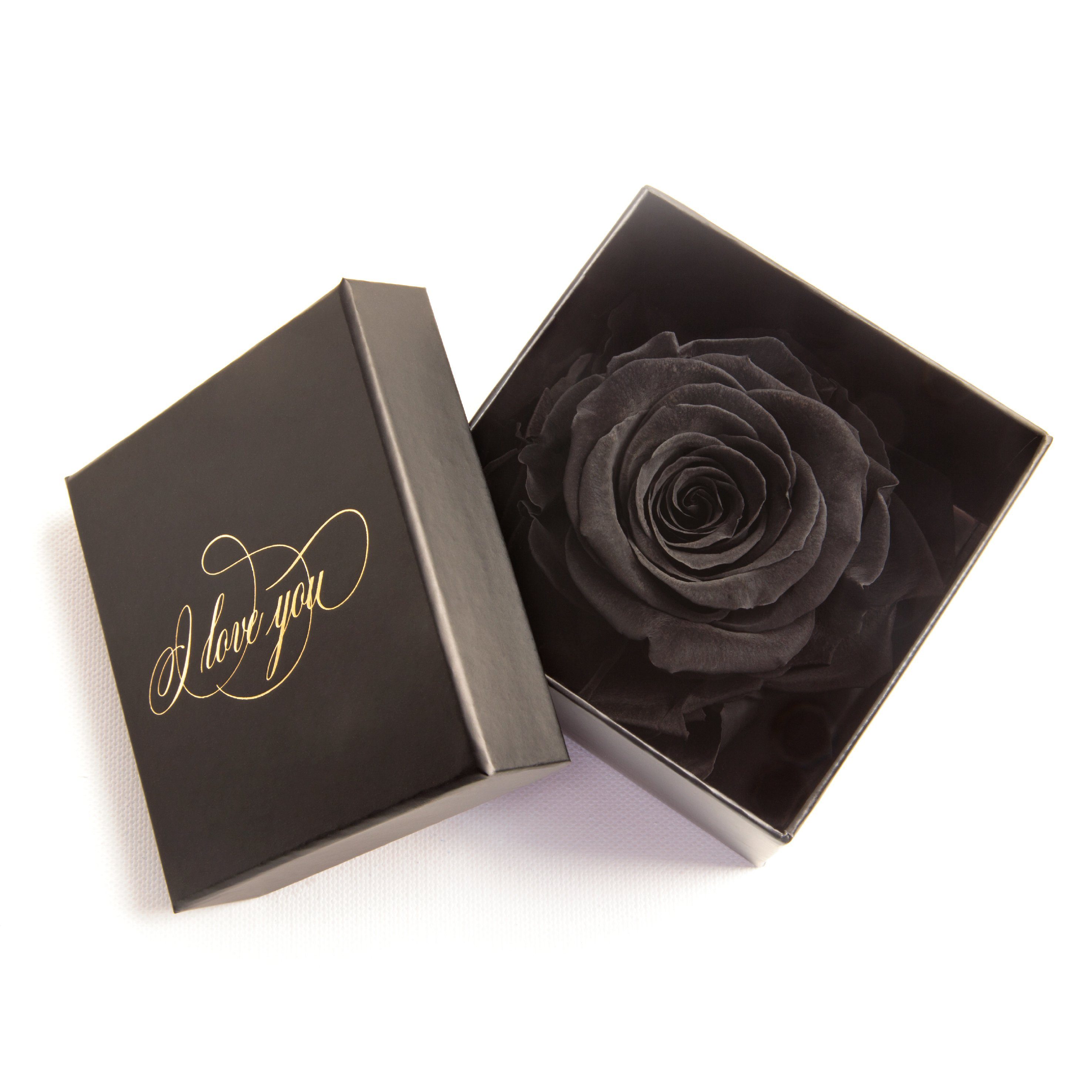 Kunstblume Infinity Rose Box I Love You Geschenk Idee Liebesbeweis Rose, ROSEMARIE SCHULZ Heidelberg, Höhe 6 cm, Echte Rose konserviert Schwarz | Kunstblumen