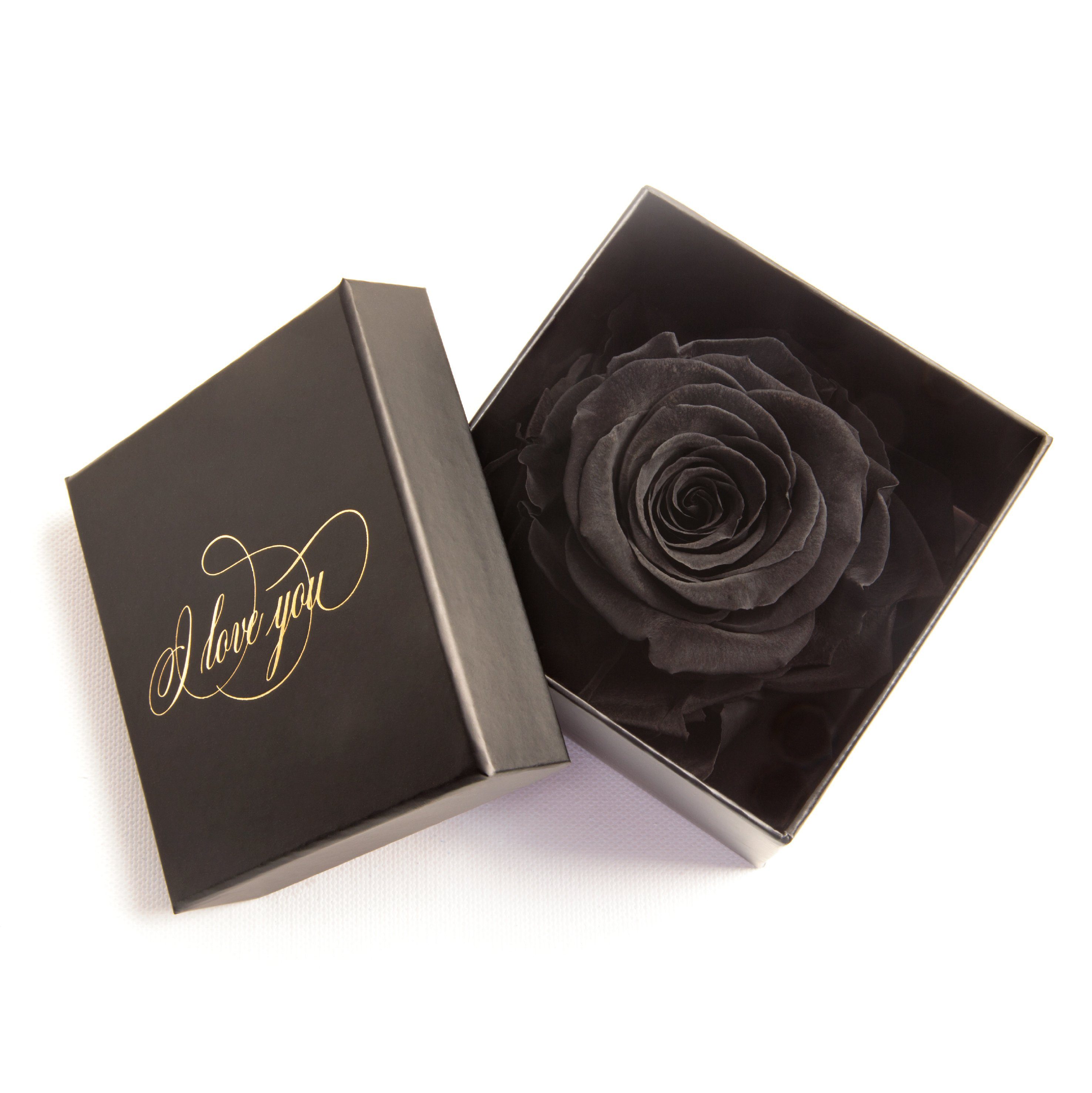 Kunstblume Infinity Rose Schwarz Höhe konserviert Liebesbeweis Box You Love cm, Geschenk Echte Rose, 6 ROSEMARIE Rose SCHULZ I Heidelberg, Idee