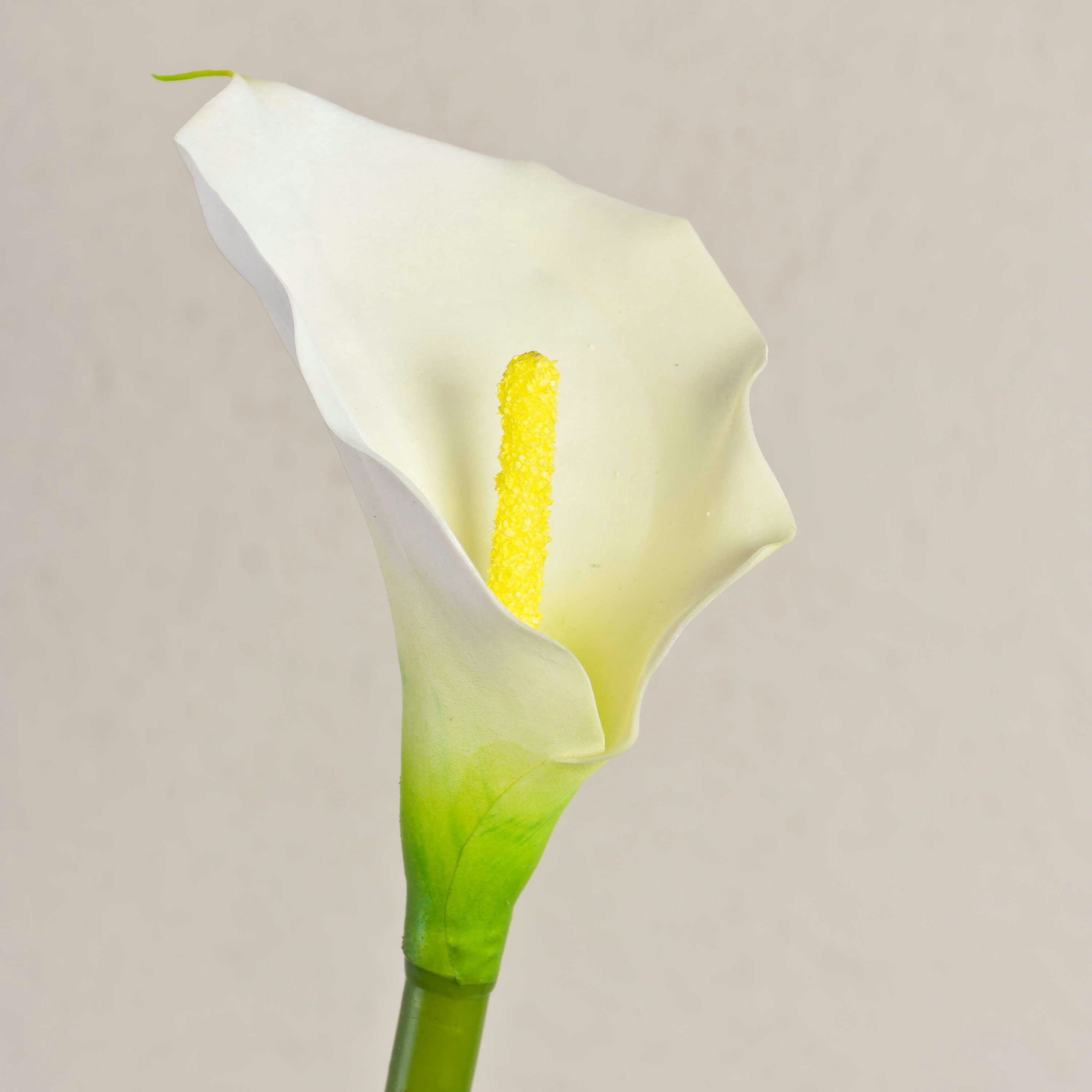Kunstblume Kunst Calla, weiß, natürlich anfühlend, 70cm, 8x12cm Calla, artplants, Höhe 70.0 cm