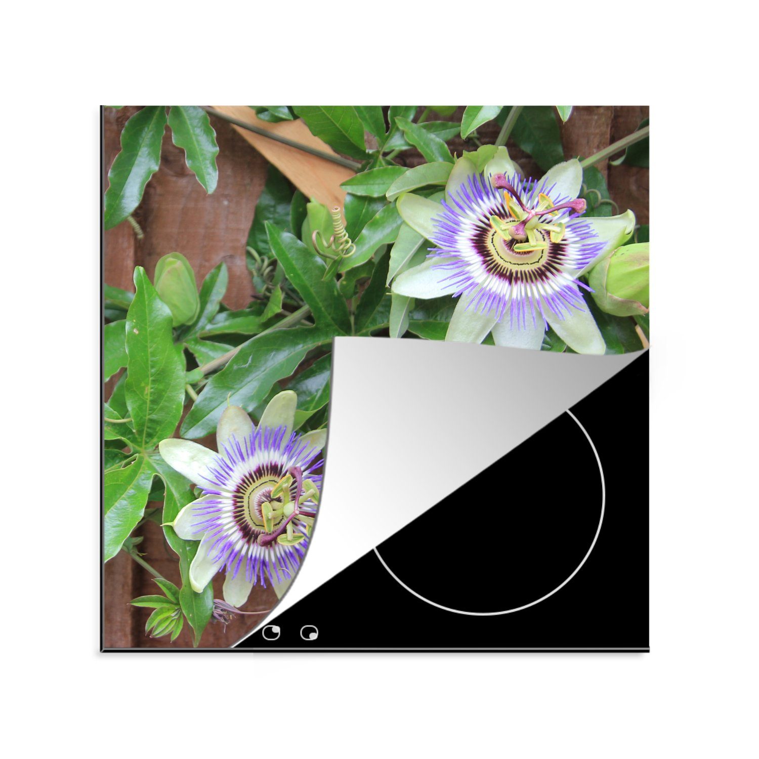 Passionsblumen, 78x78 für Blühende lila (1 Ceranfeldabdeckung, MuchoWow Vinyl, cm, tlg), Arbeitsplatte küche Herdblende-/Abdeckplatte