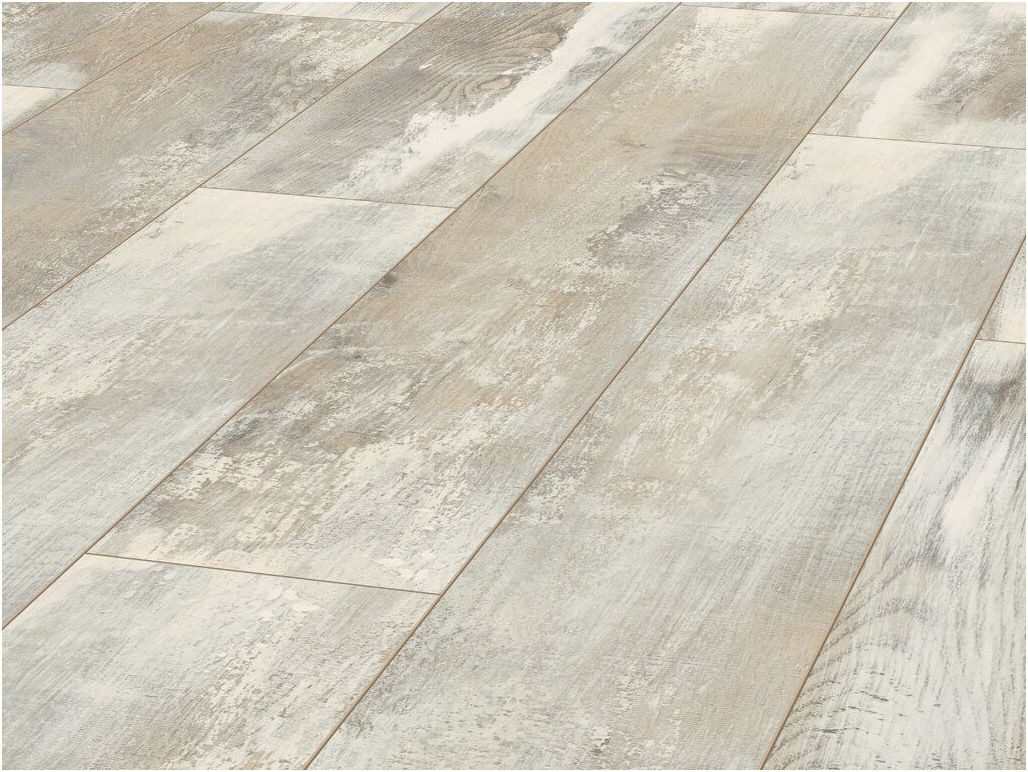 JANGAL Laminat Laminat Jangal 8081 Blyde günstig online kaufen