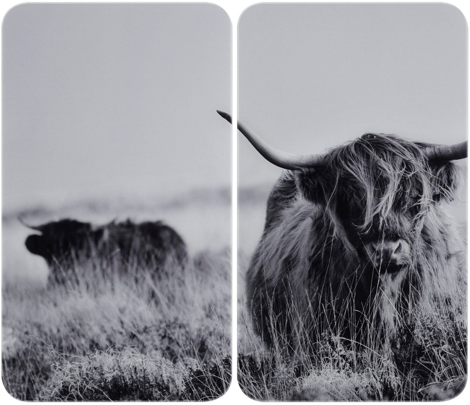 WENKO Herd-Abdeckplatte Universal Modell Highland Cattle, Glas, Kunststoff, (Set, 2 tlg), Herdabdeckung für alle Herdarten, kratzfest, mit rutschfesten Füßen