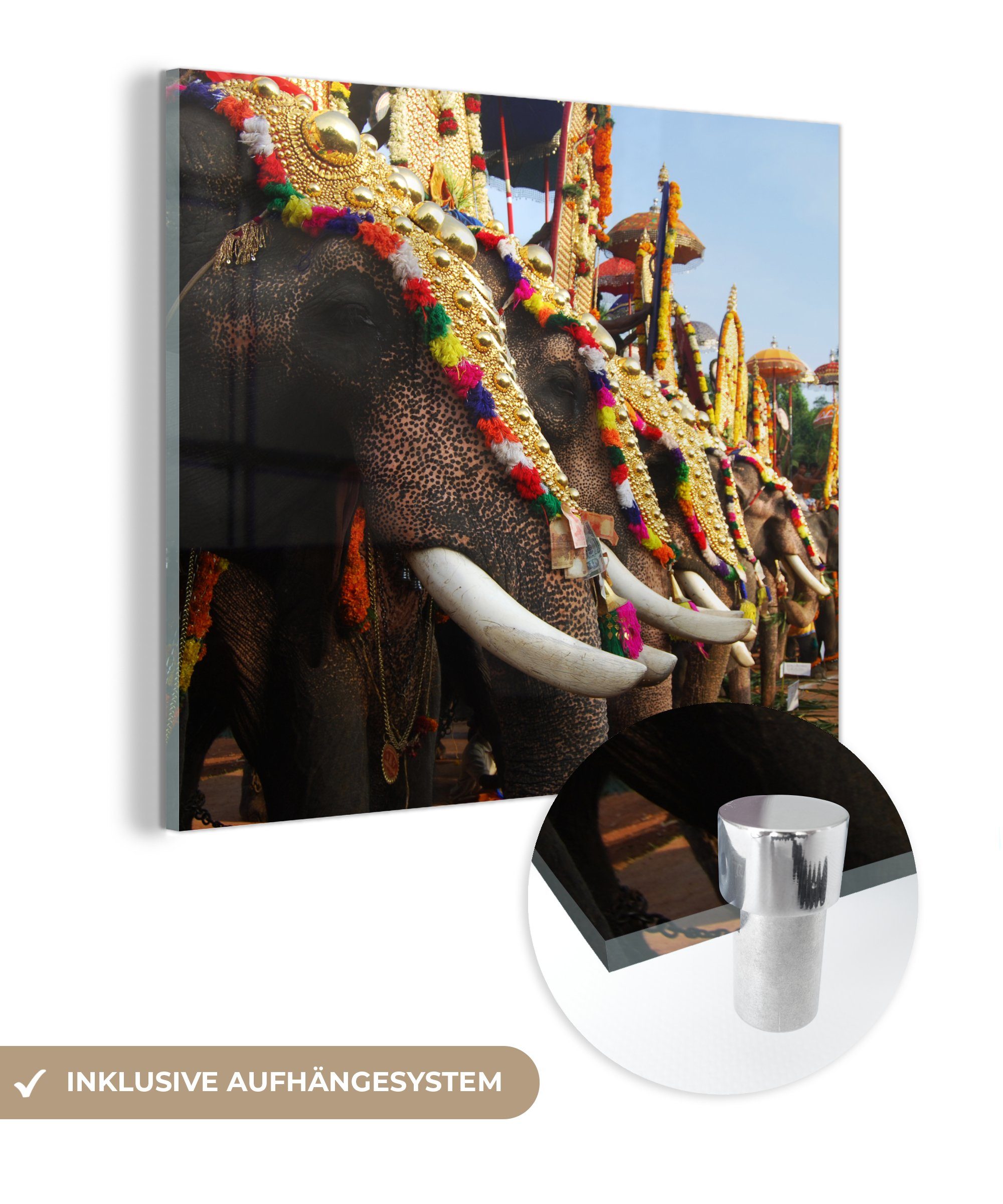 MuchoWow Acrylglasbild Elefant - Parade - Tiere, (1 St), Glasbilder - Bilder auf Glas Wandbild - Foto auf Glas - Wanddekoration