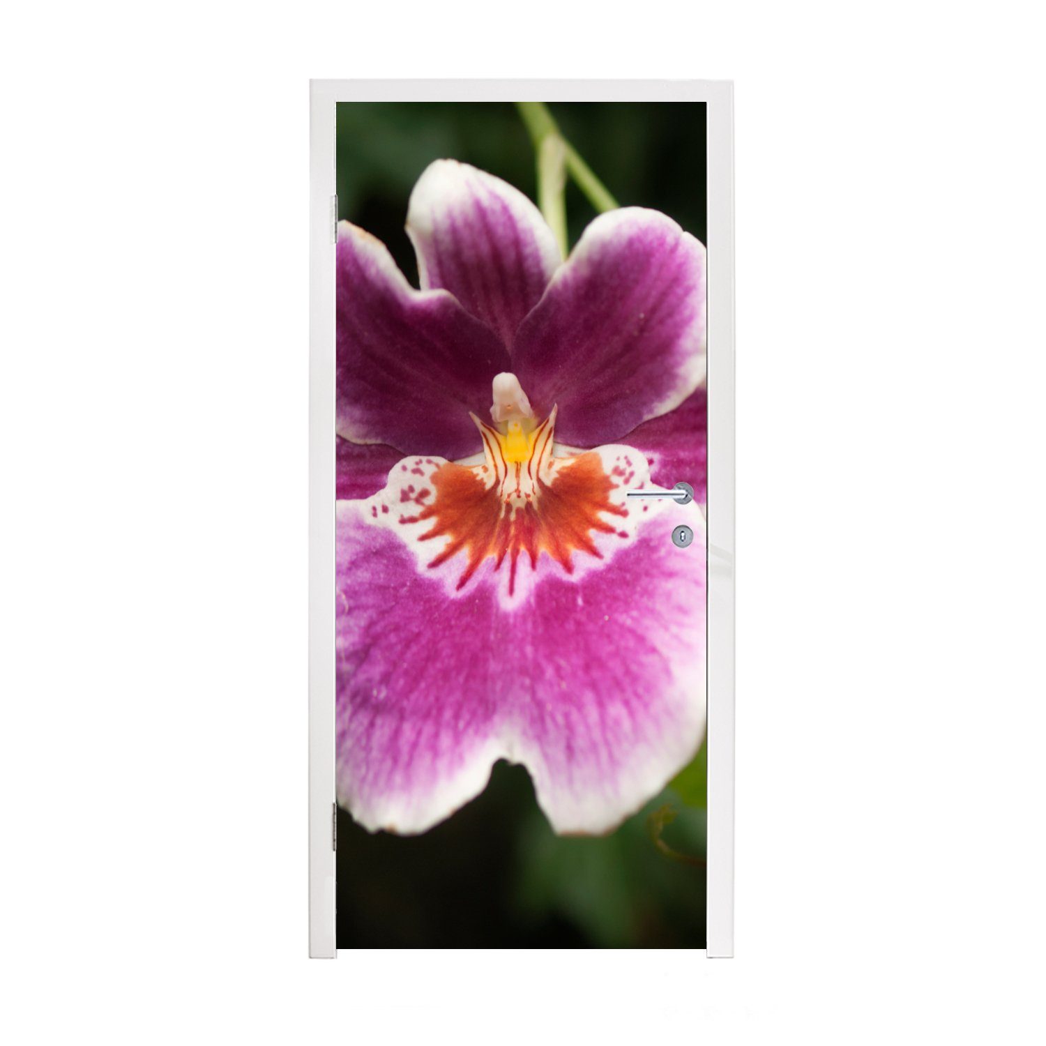 MuchoWow Türtapete Wilde Orchidee, Matt, bedruckt, (1 St), Fototapete für Tür, Türaufkleber, 75x205 cm