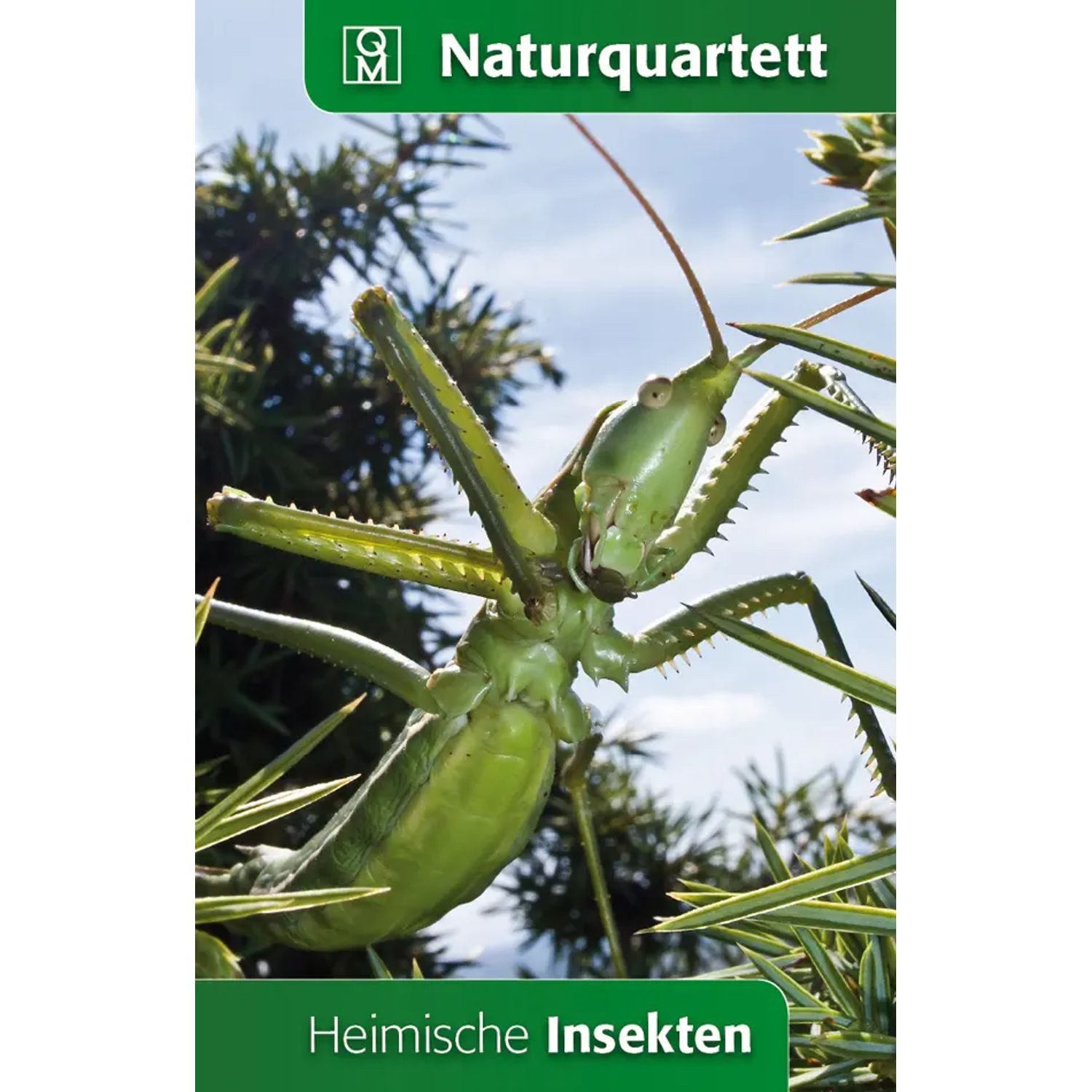 Meyer & Meyer Verlag Spiel Heimische Insekten