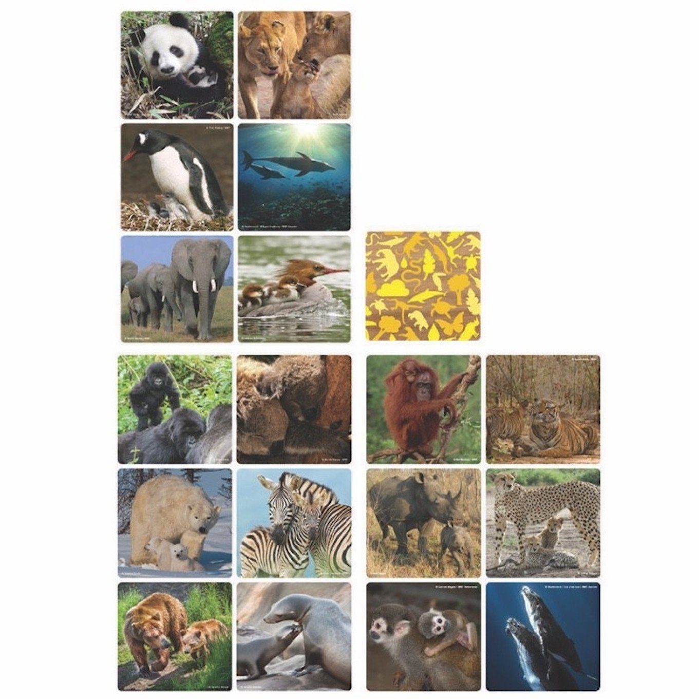 WWF Spiel WWF Memo-Spiel "Familien", Wissenspiel