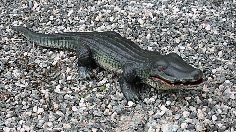Aubaho Krokodil Skulptur Garten Gusseisen Alligator Gartenfigur Teich Figur A Gartenfigur