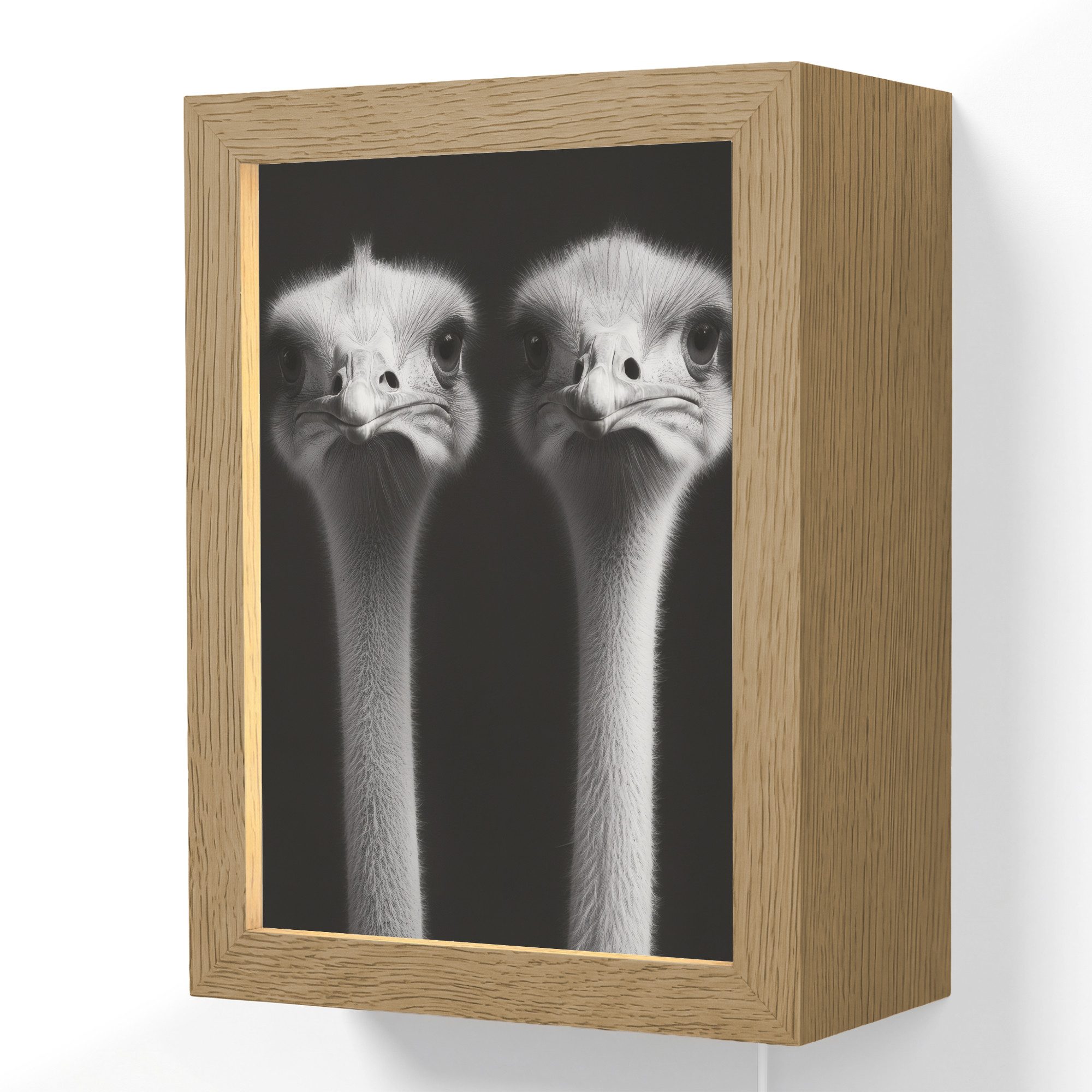 Wandleuchte Lightbox Strauße - Hälse - Schwarz - Minimalistisch