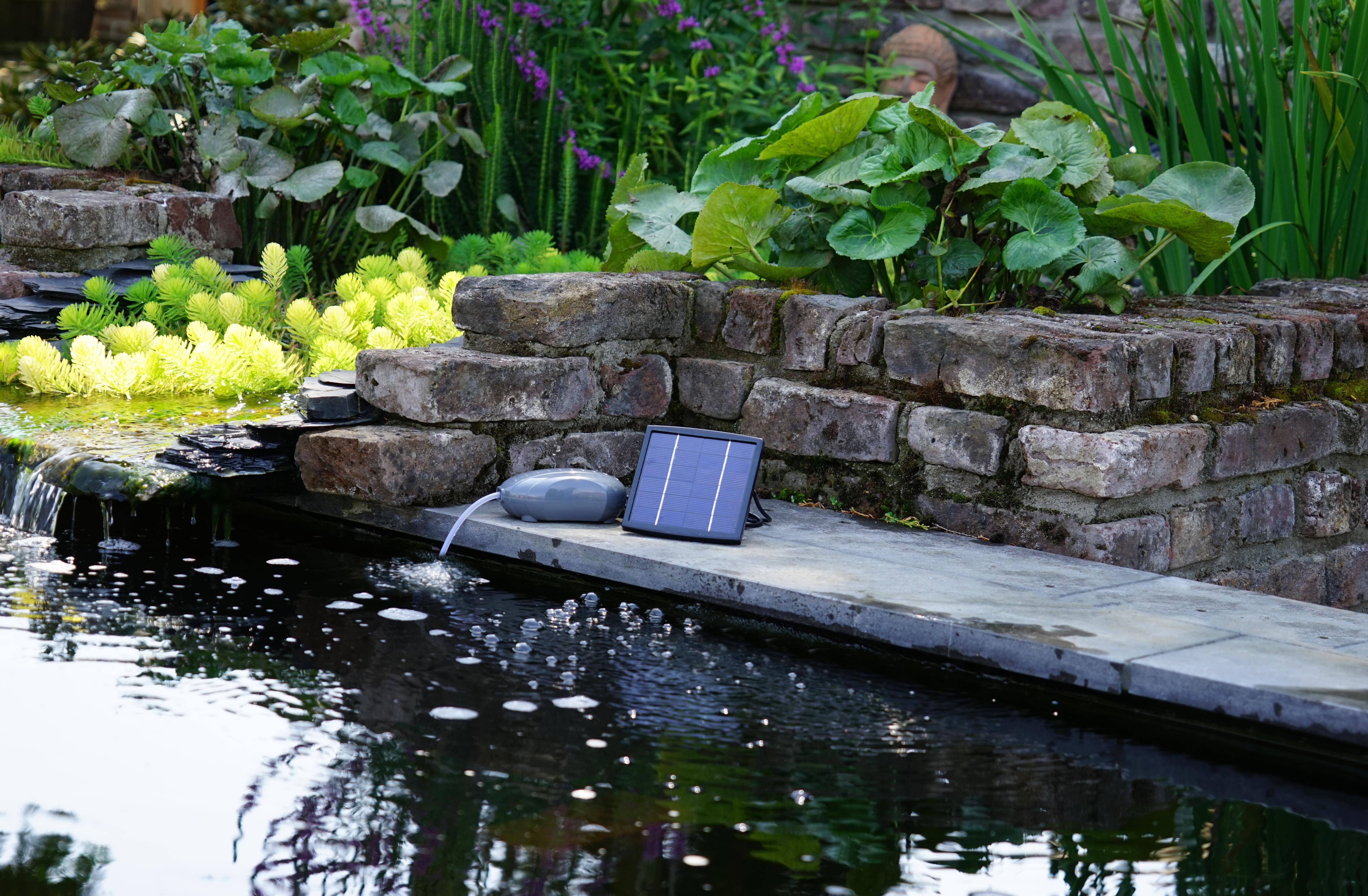 Ubbink Teichpumpe AIR Solar 100, Solartechnik, Sauerstoff für den