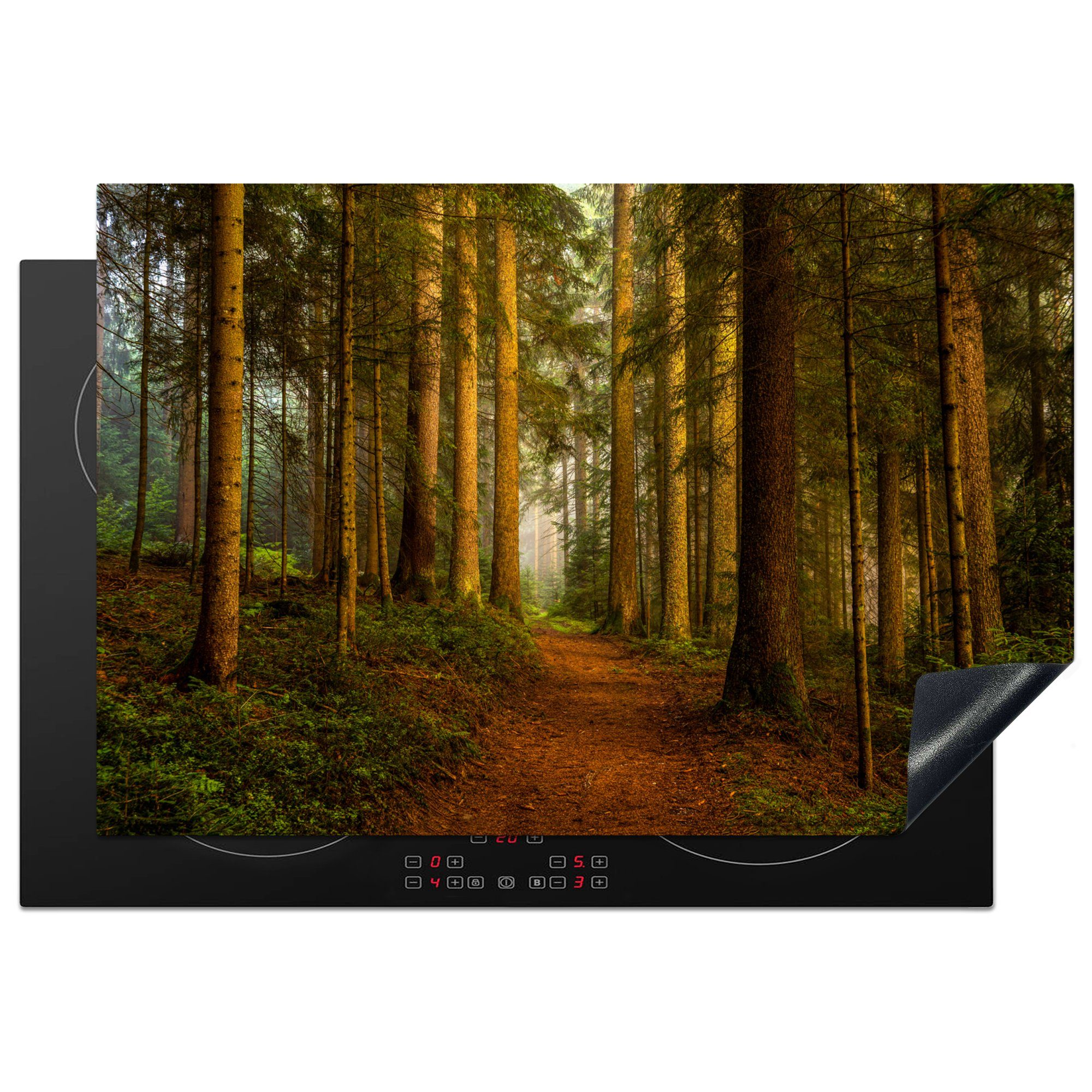 MuchoWow Herd-Abdeckplatte Wald - Natur - Bäume - Landschaft - Laub, Vinyl, (1 tlg), Induktionsabdeckung Vinyl, Küchenzubehör, 77x51 cm