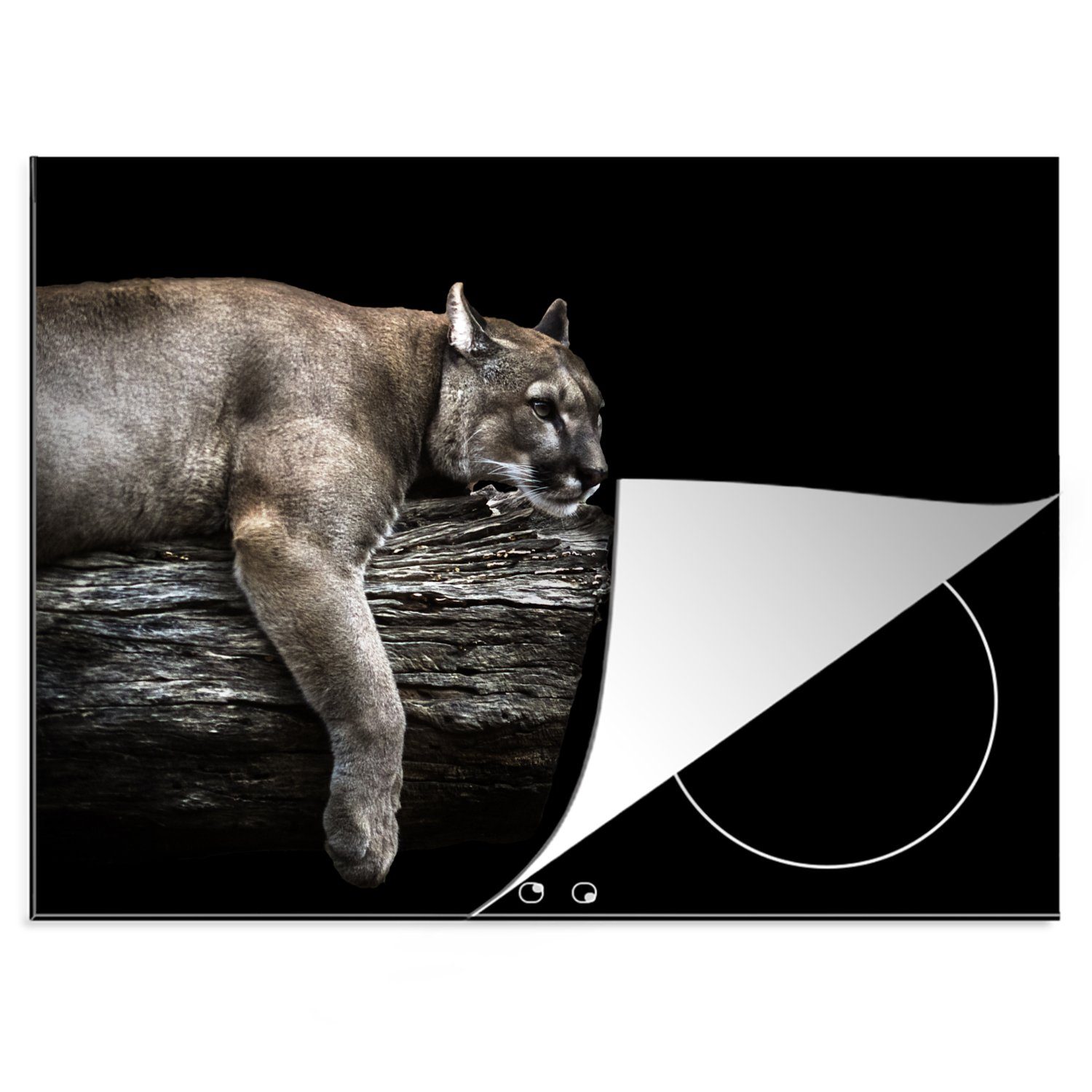 MuchoWow Herdblende-/Abdeckplatte Ein Puma, der auf einem Baumstamm mit schwarzem Hintergrund ruht, Vinyl, (1 tlg), 70x52 cm, Mobile Arbeitsfläche nutzbar, Ceranfeldabdeckung